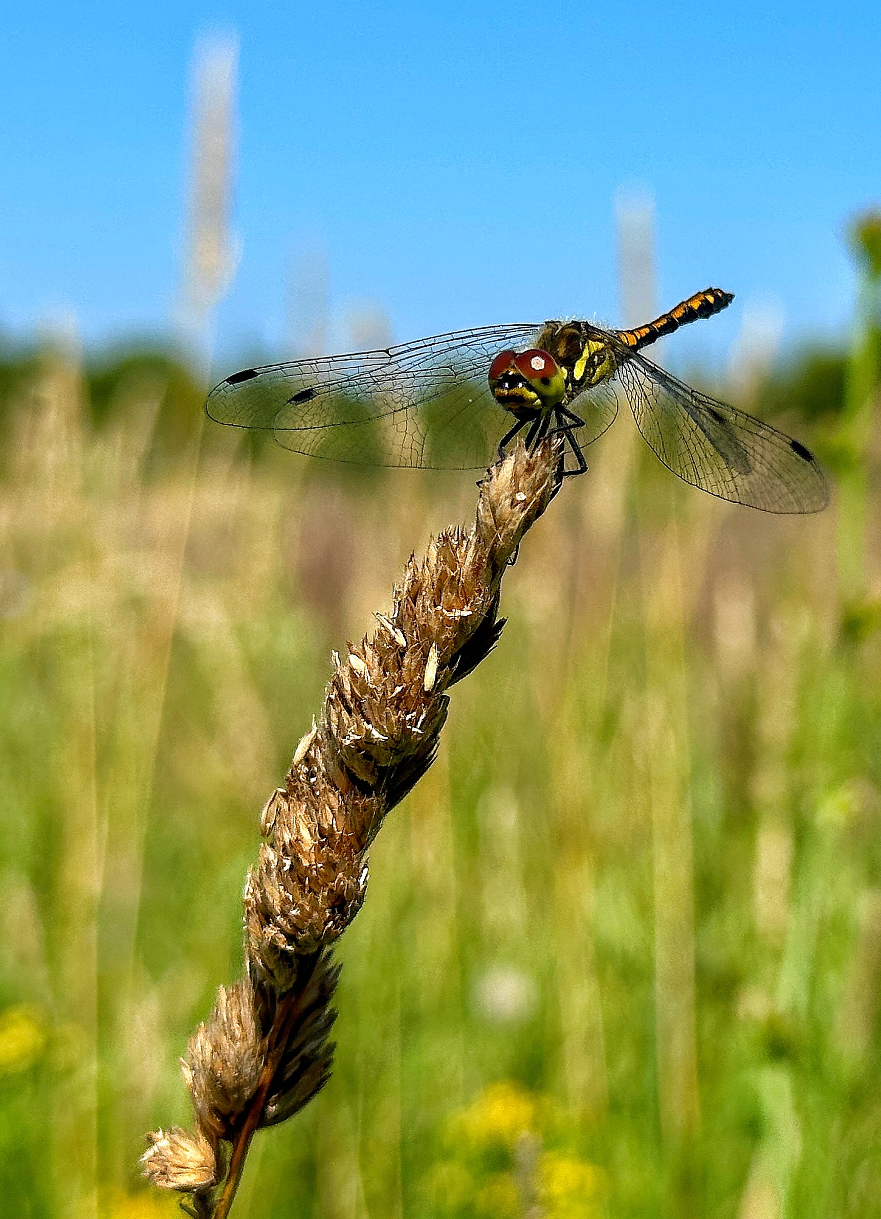 , Бувин Юрий