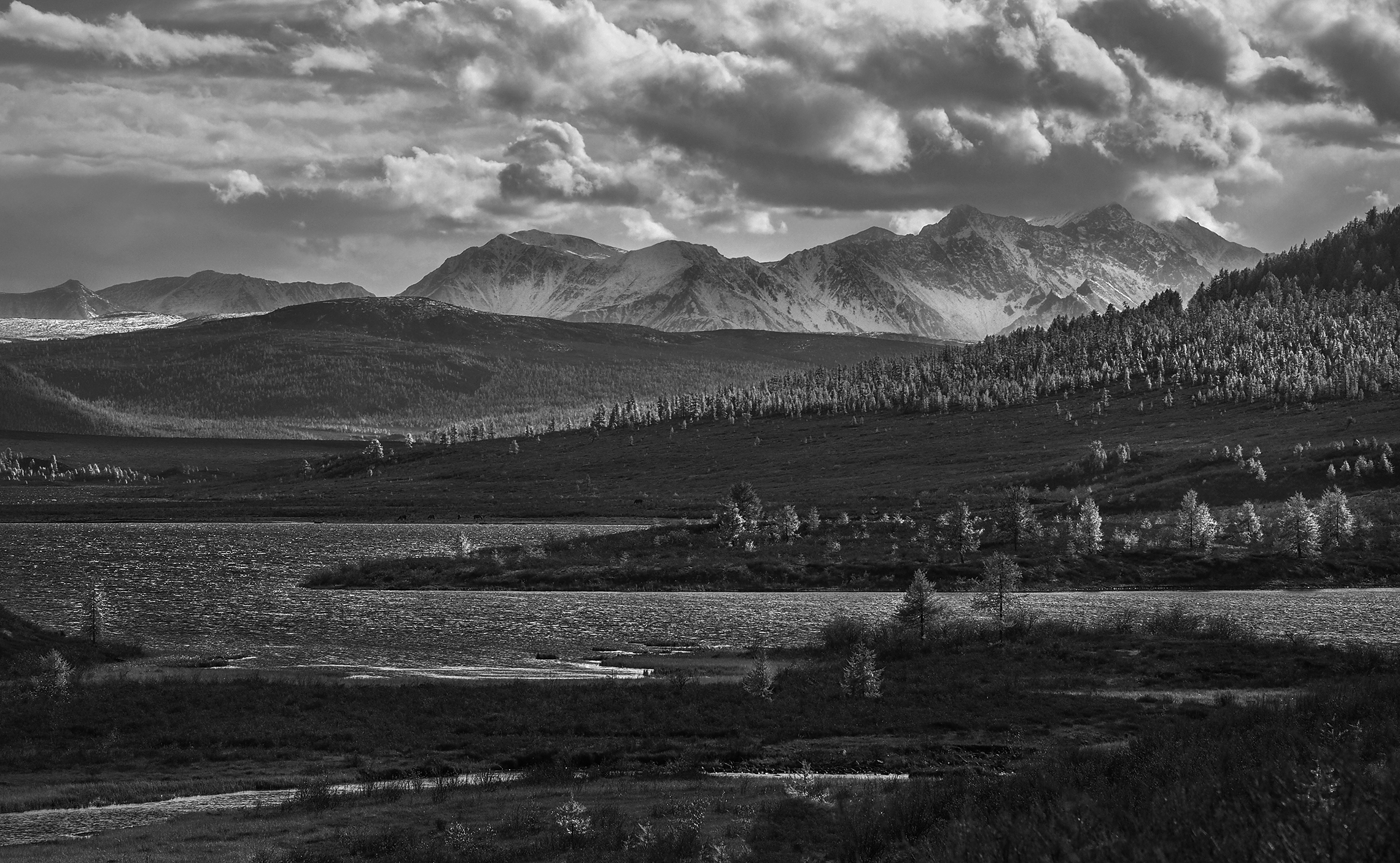 , Александр Попов