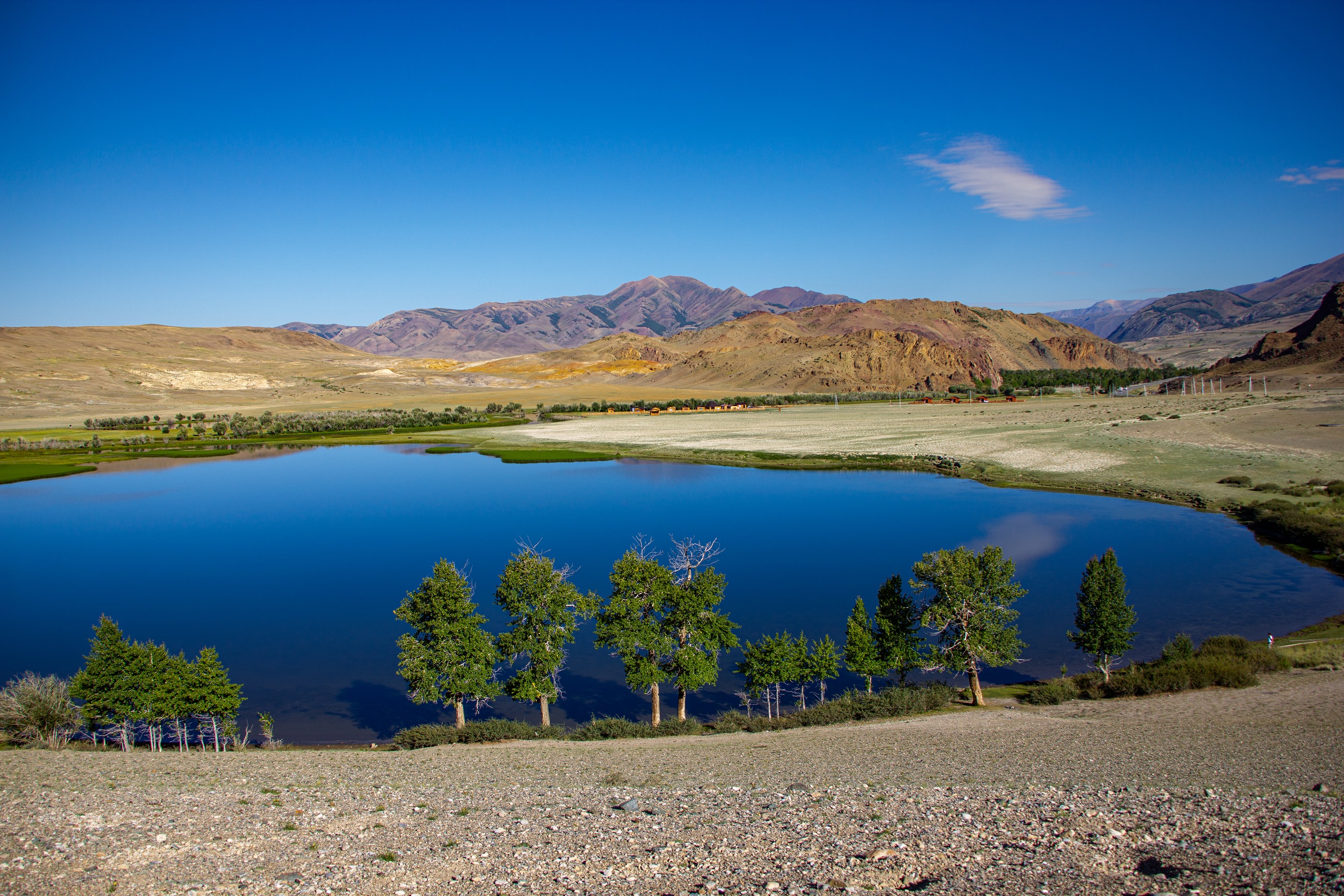 , Владимир Каверин