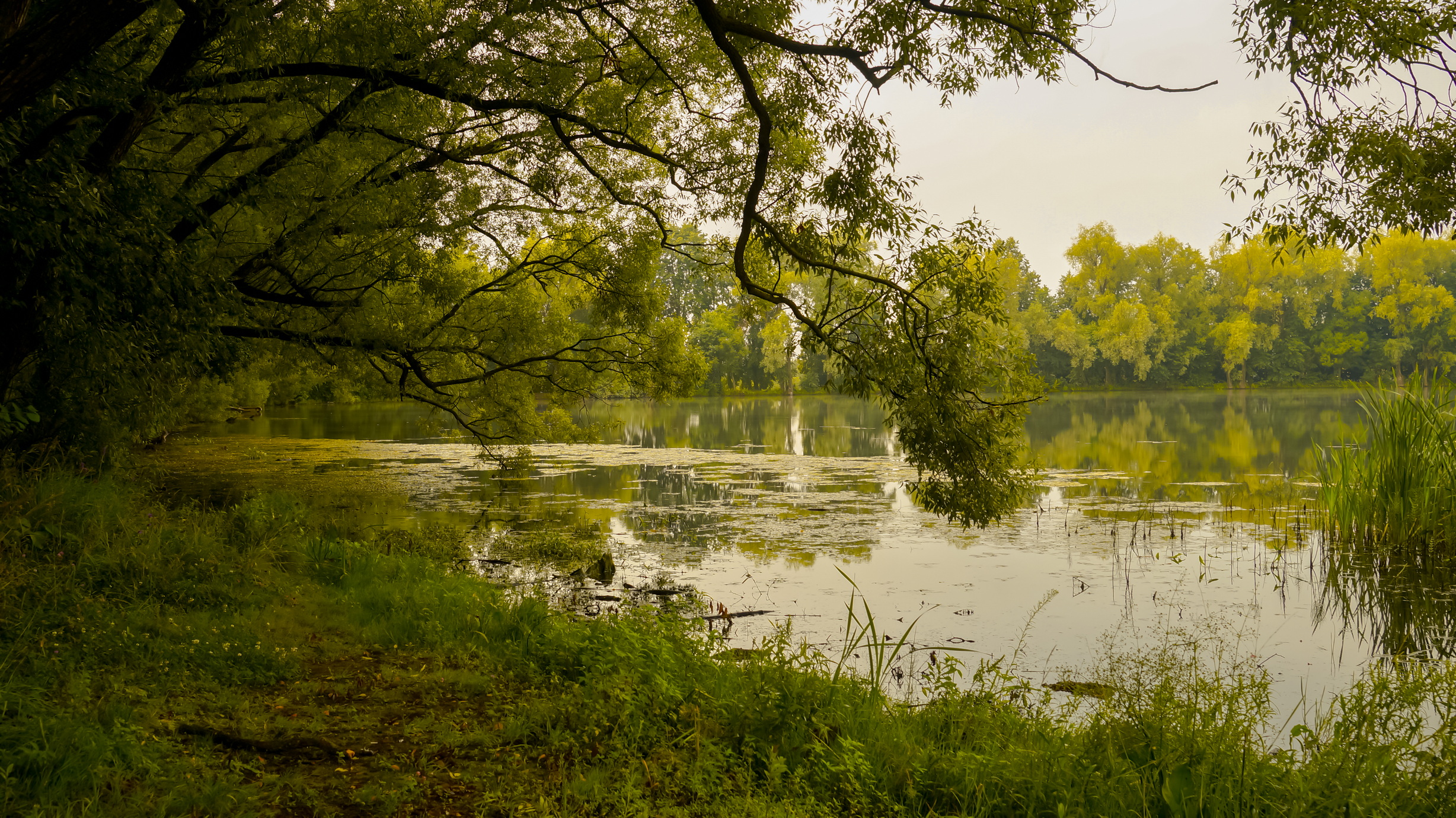 , Сушкевич Светлана