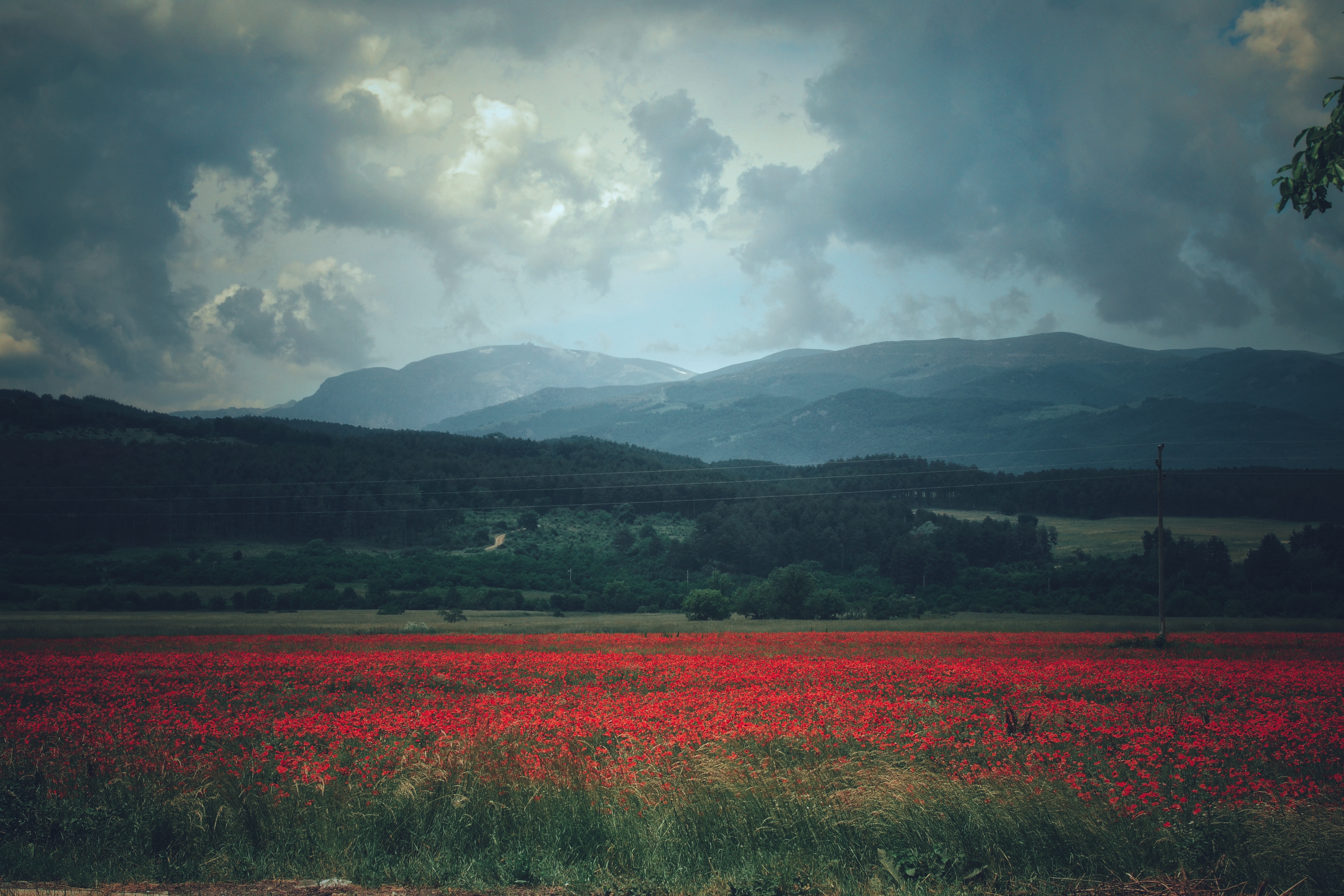 , Юлияна Стоянова