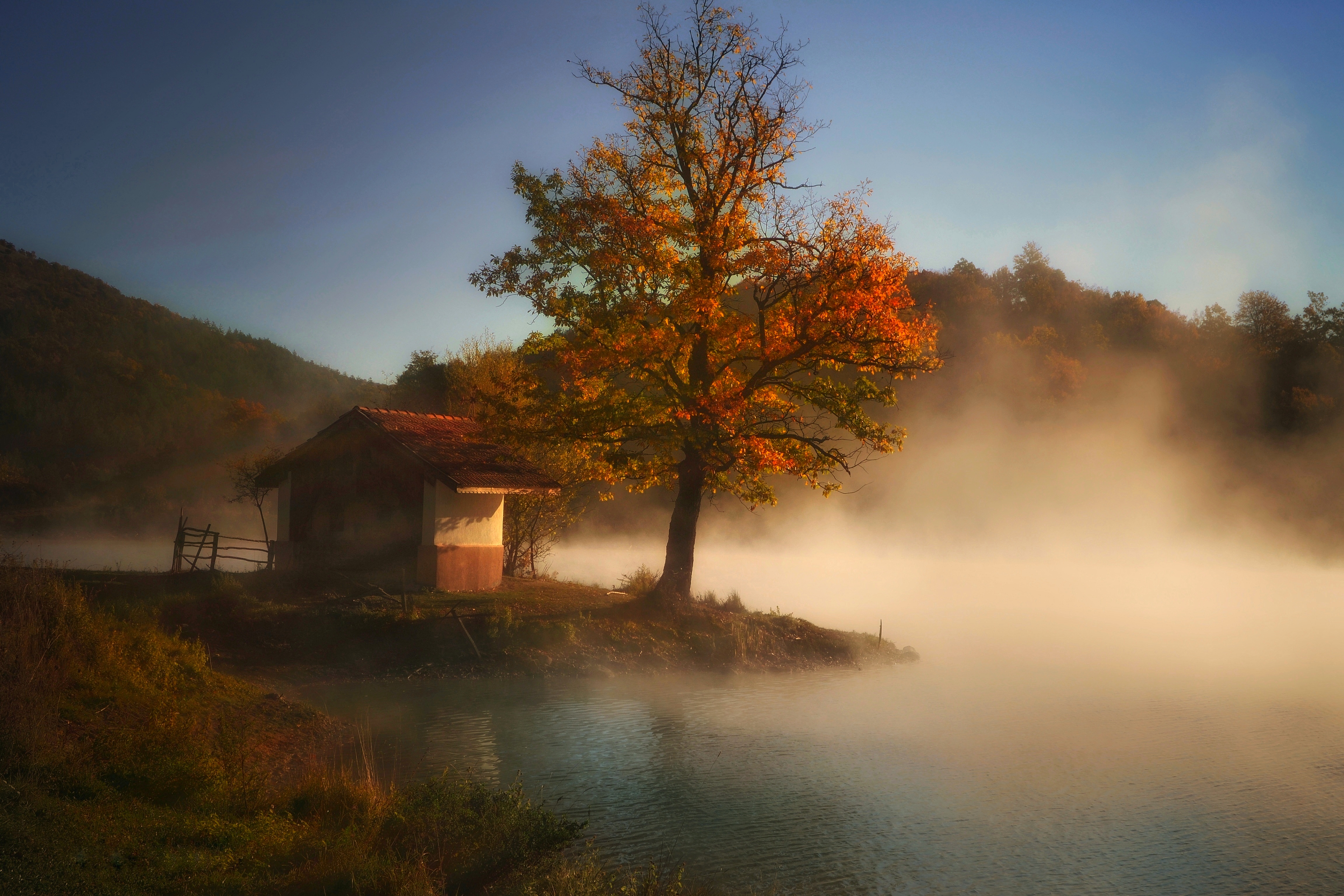 , Юлияна Стоянова