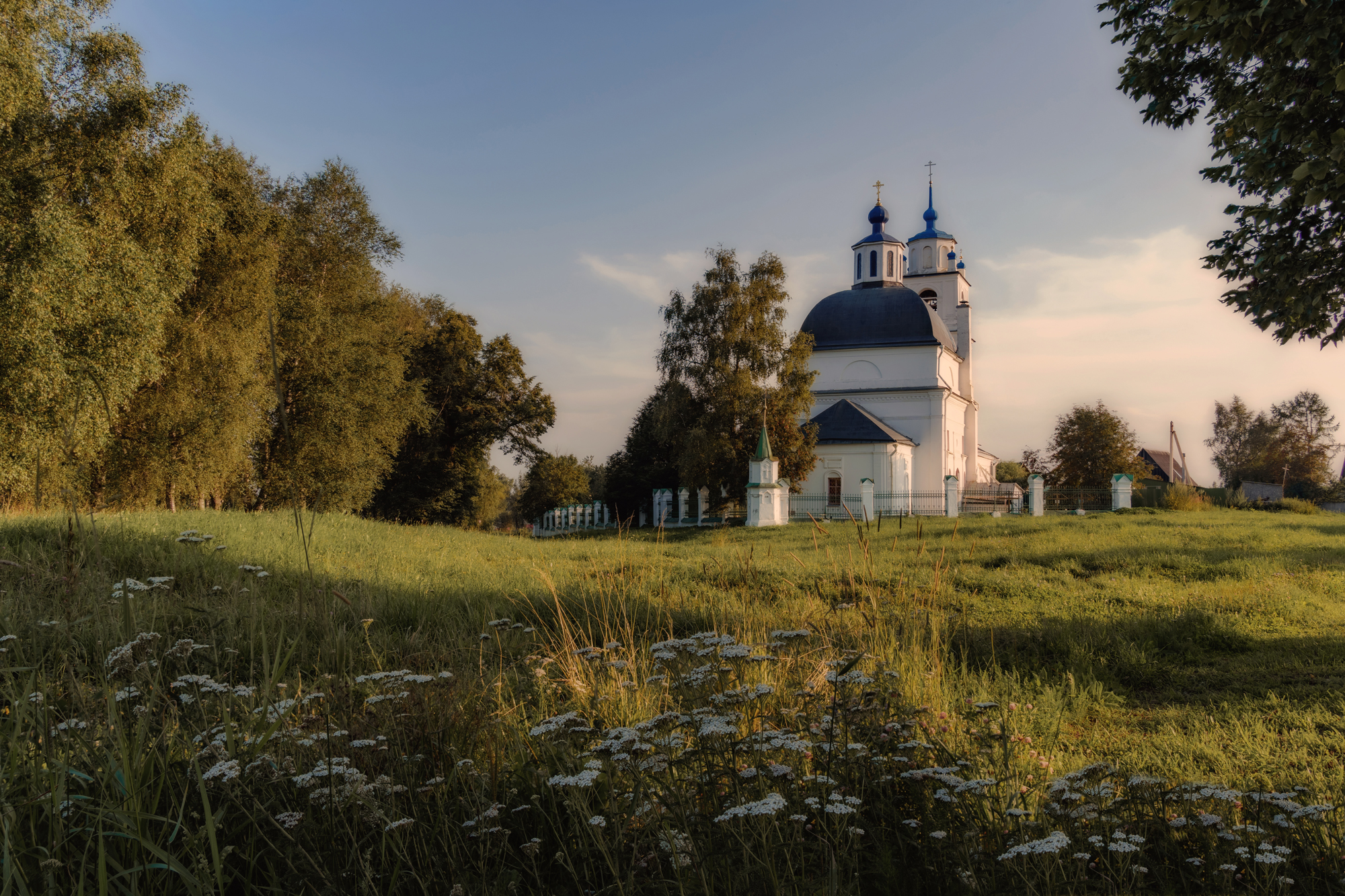 , Добродий Михаил