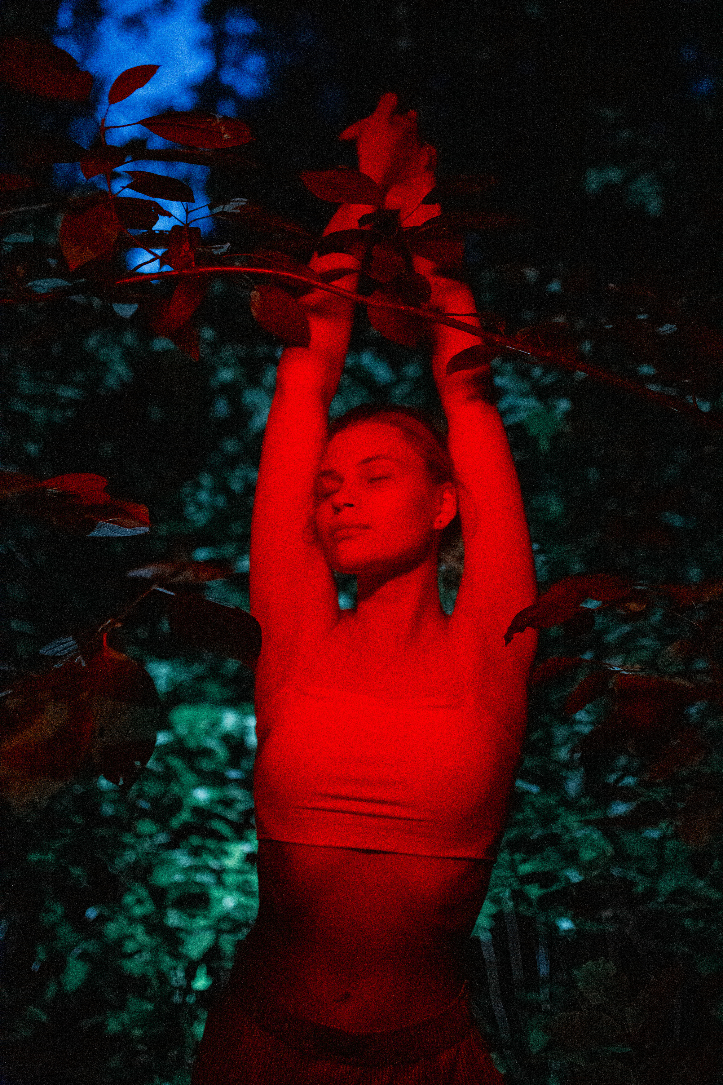 , Плеханов Дмитрий