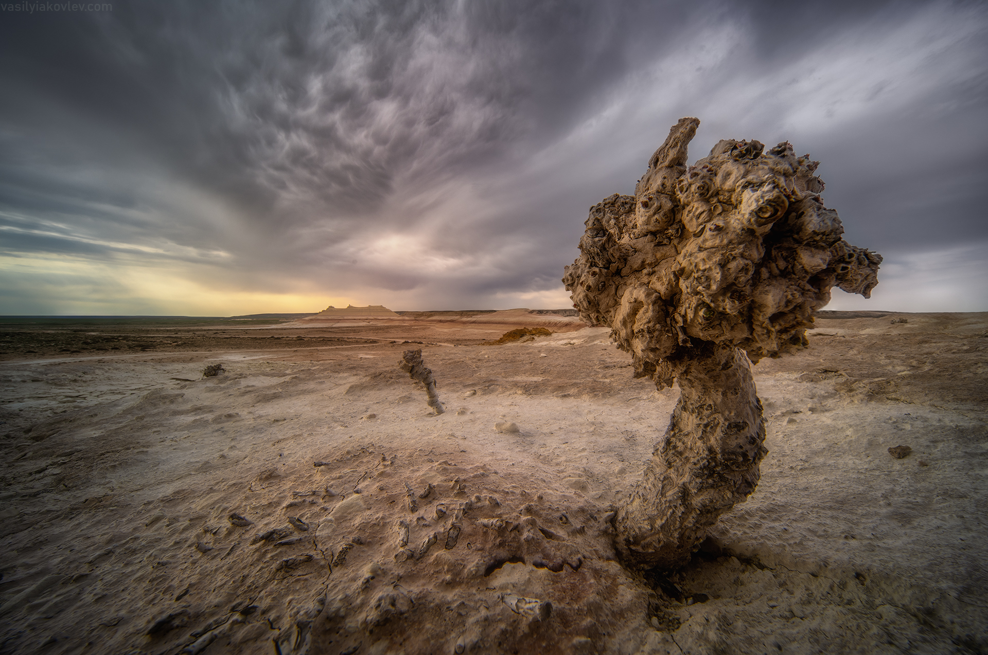 казахстан, фототур, яковлевфототур, мангистау, мангышлак, айракты, босжира, устюрт, карынжарык, тузбаир, торыш, туйесу, сенек, Василий Яковлев