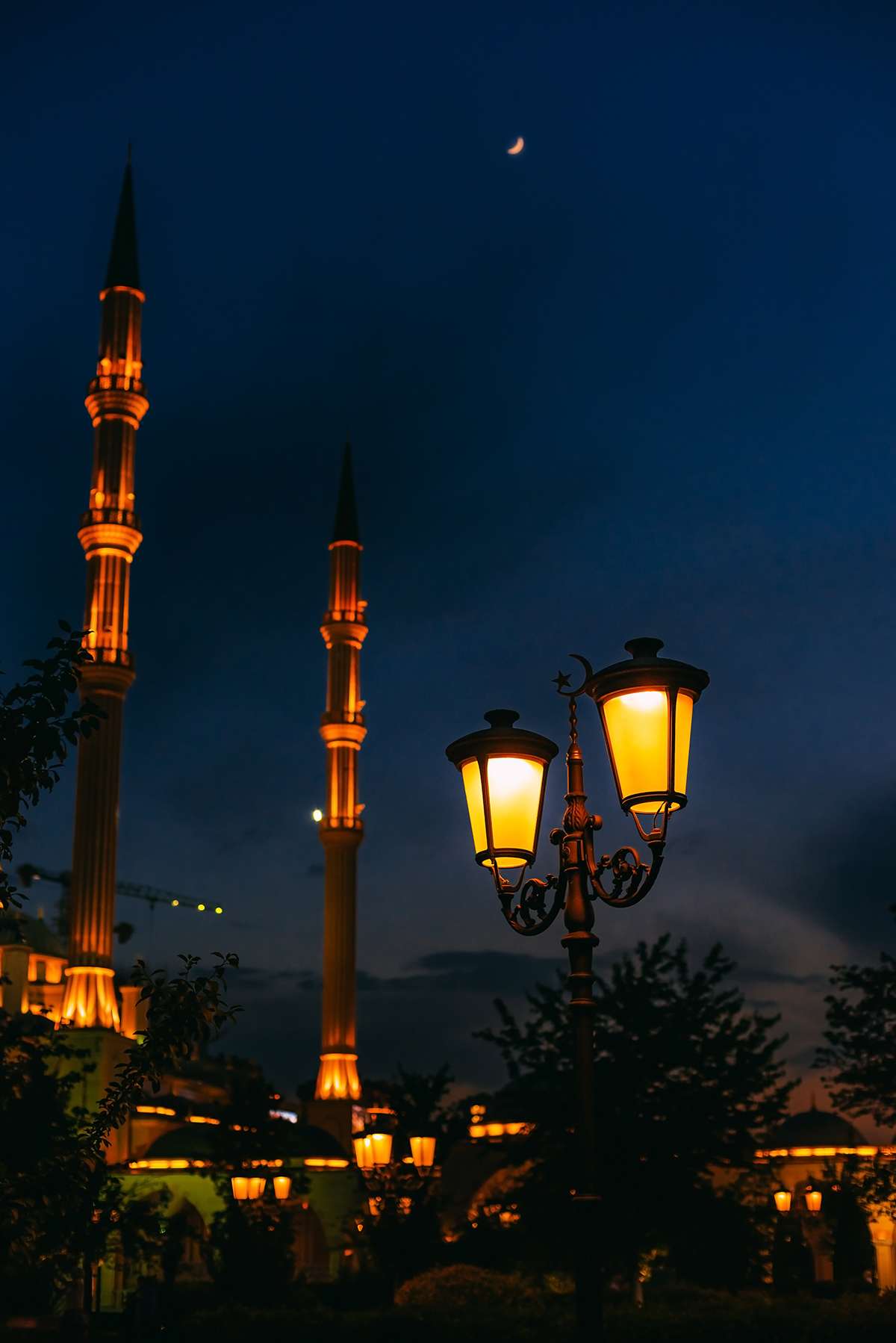 , Дарья Шевченко