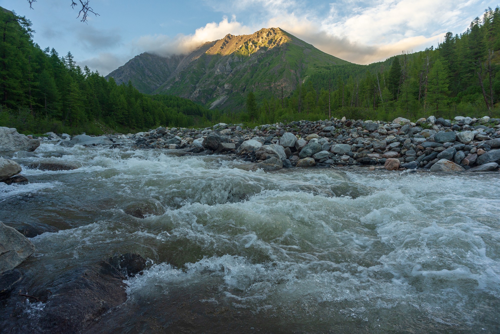 шумак, Беляев Юрий