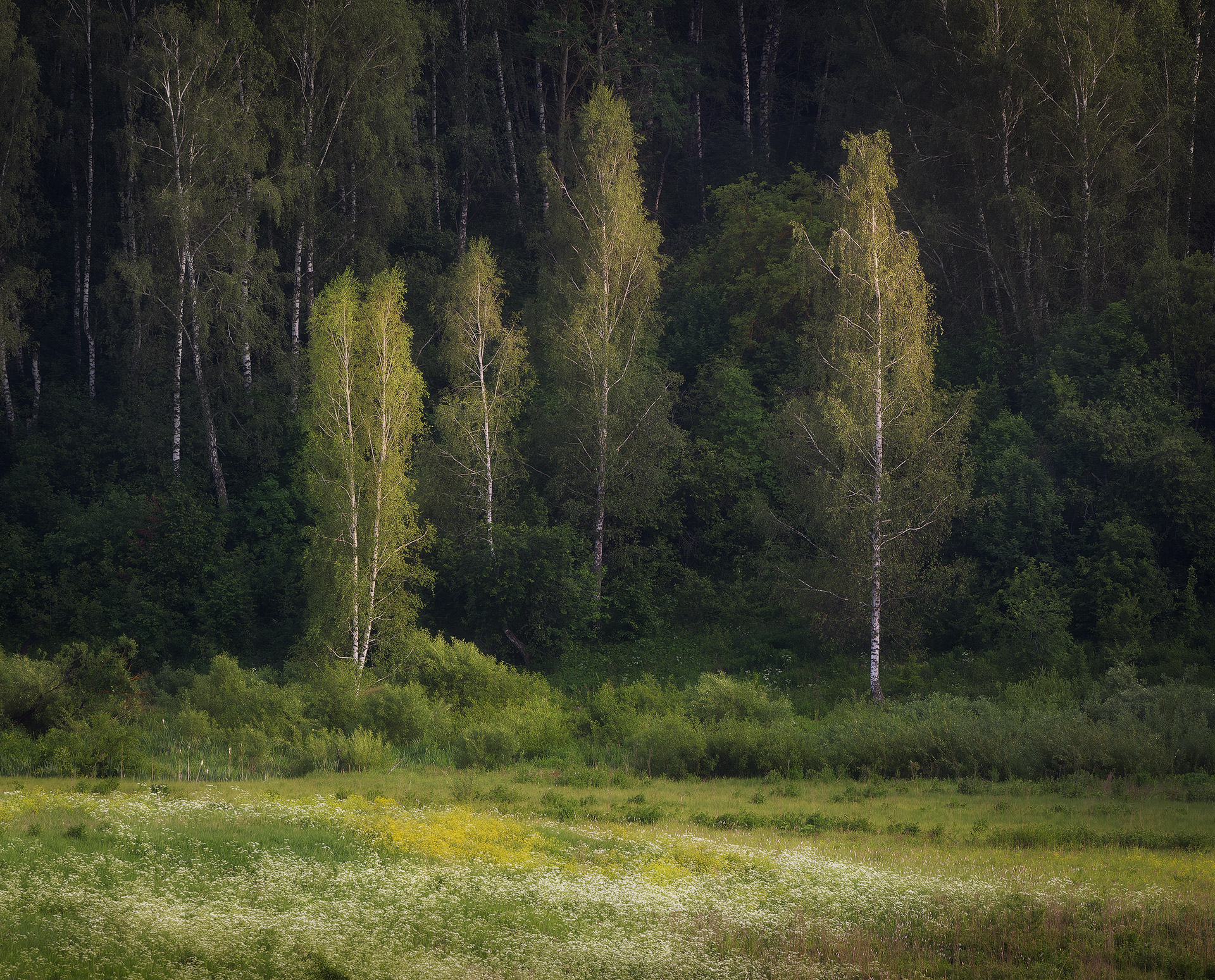 , Павел Жирнов