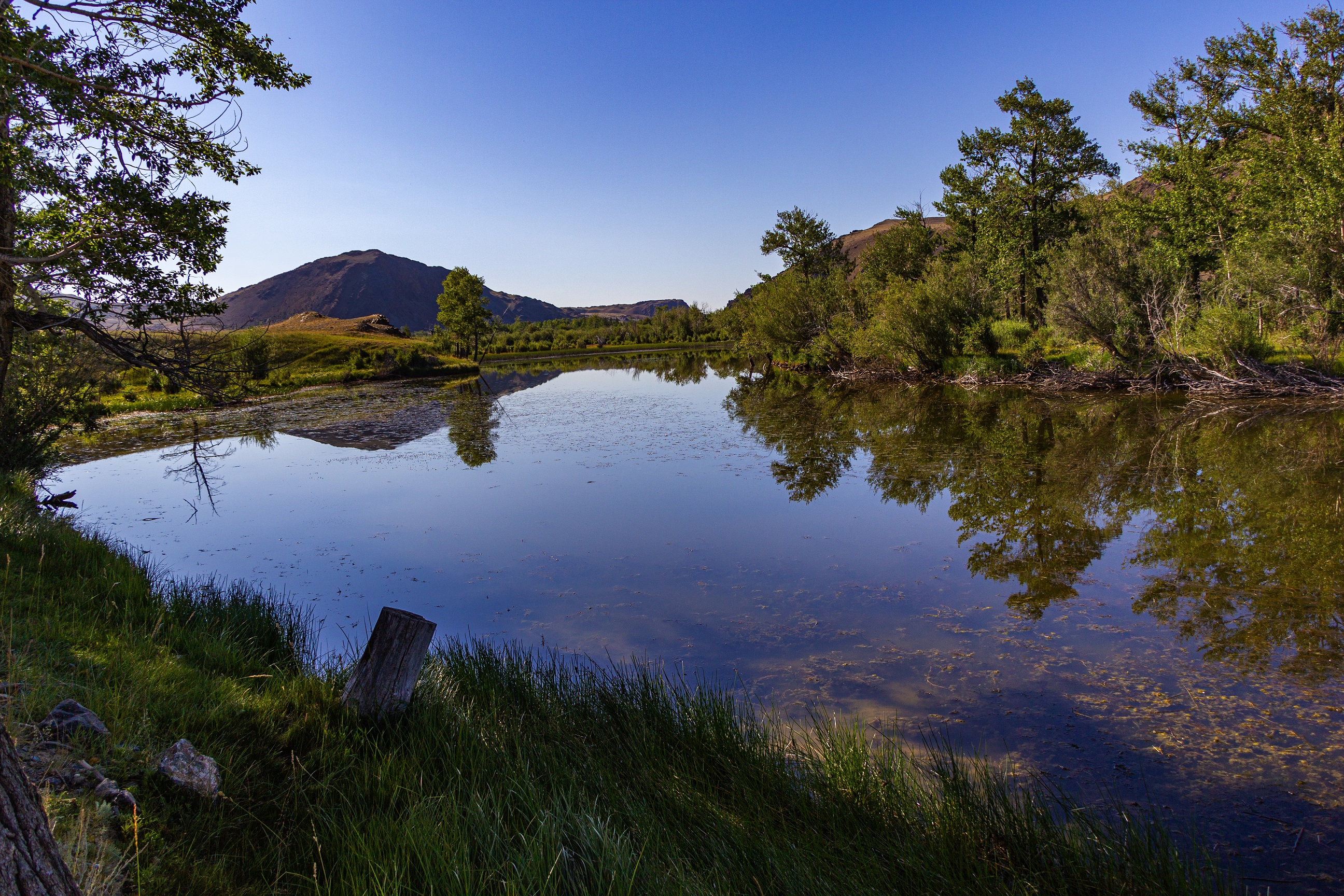 , Владимир Каверин