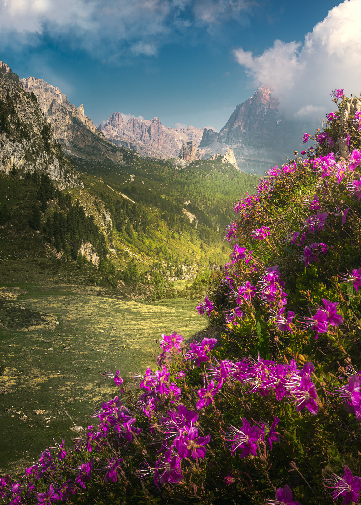 , Быков Сергей