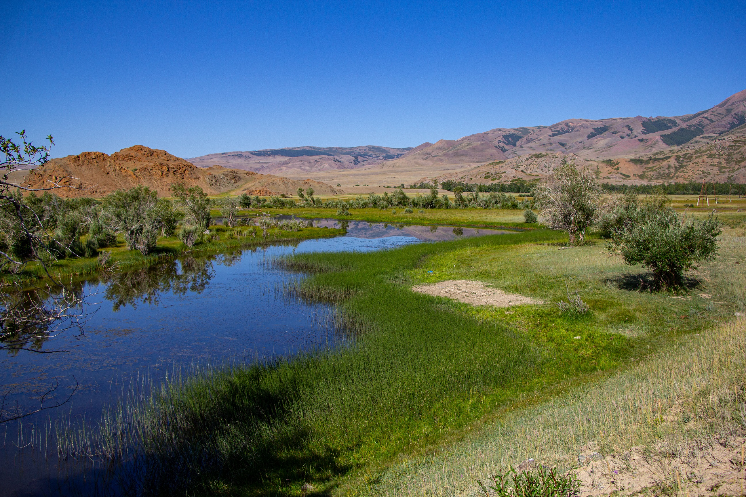 , Владимир Каверин