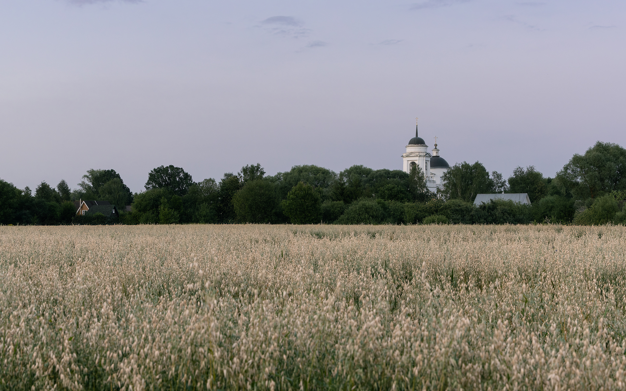 , Загруев Михаил