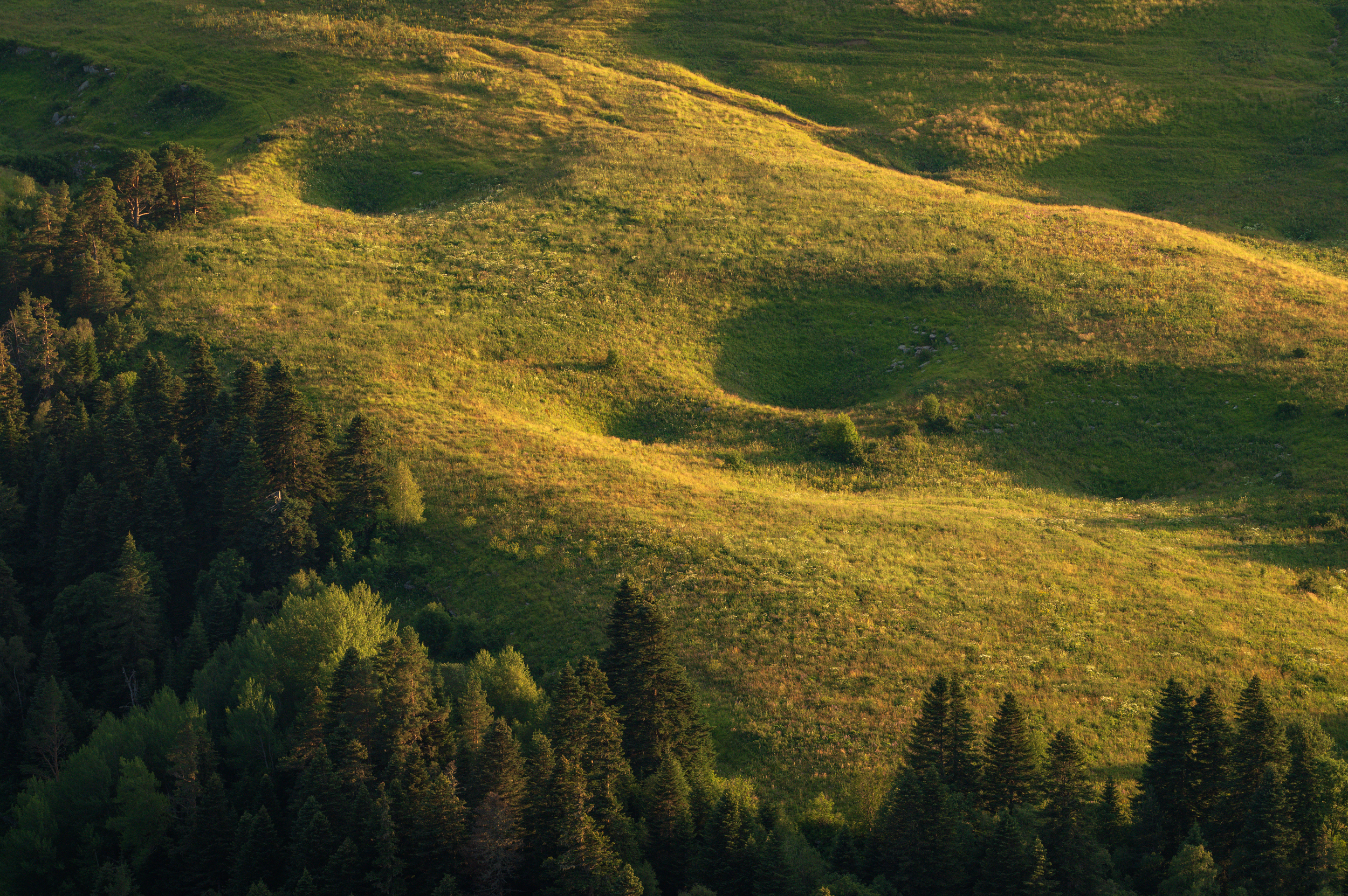 , Сергей Тихомиров