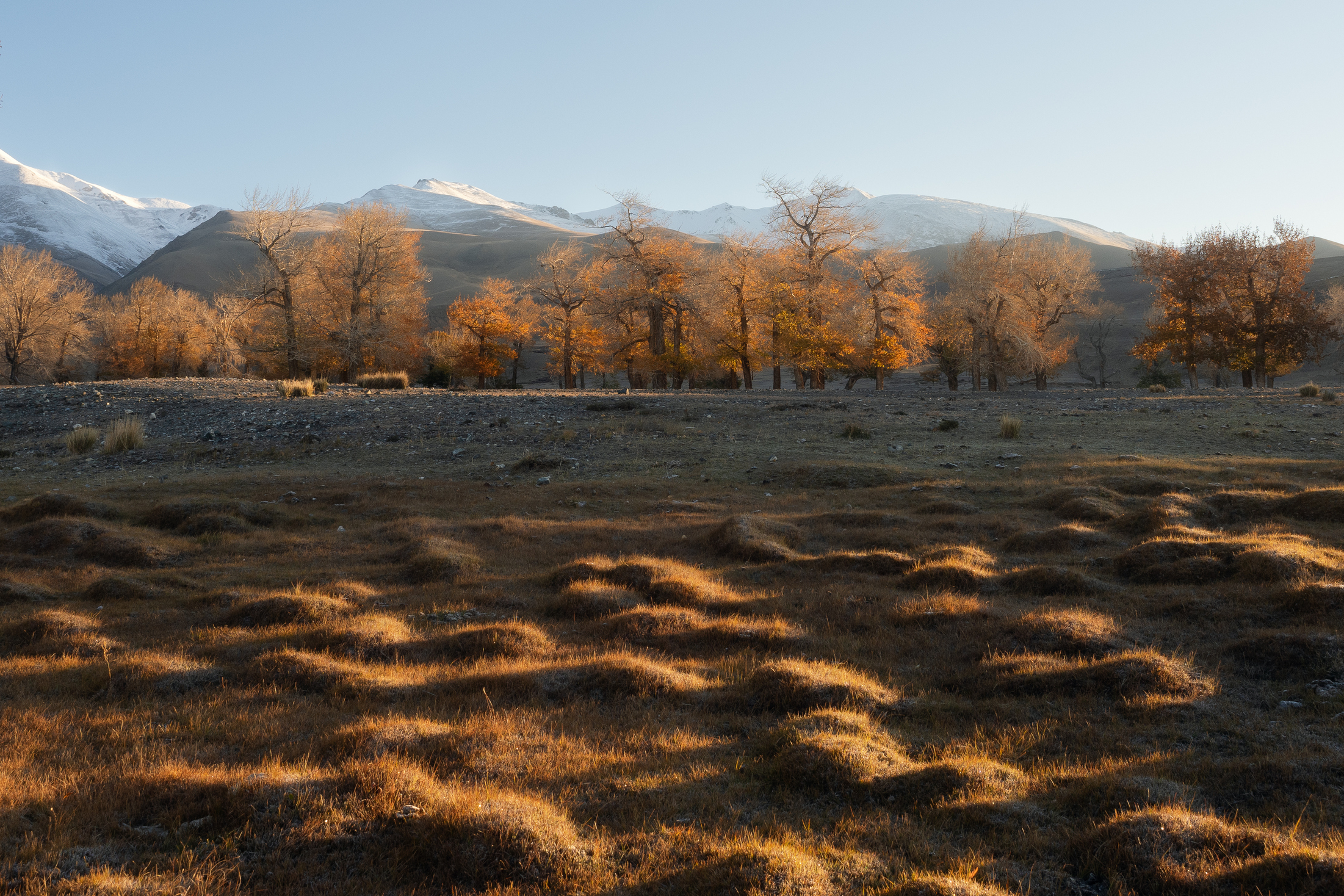 , Мозжухин Максим