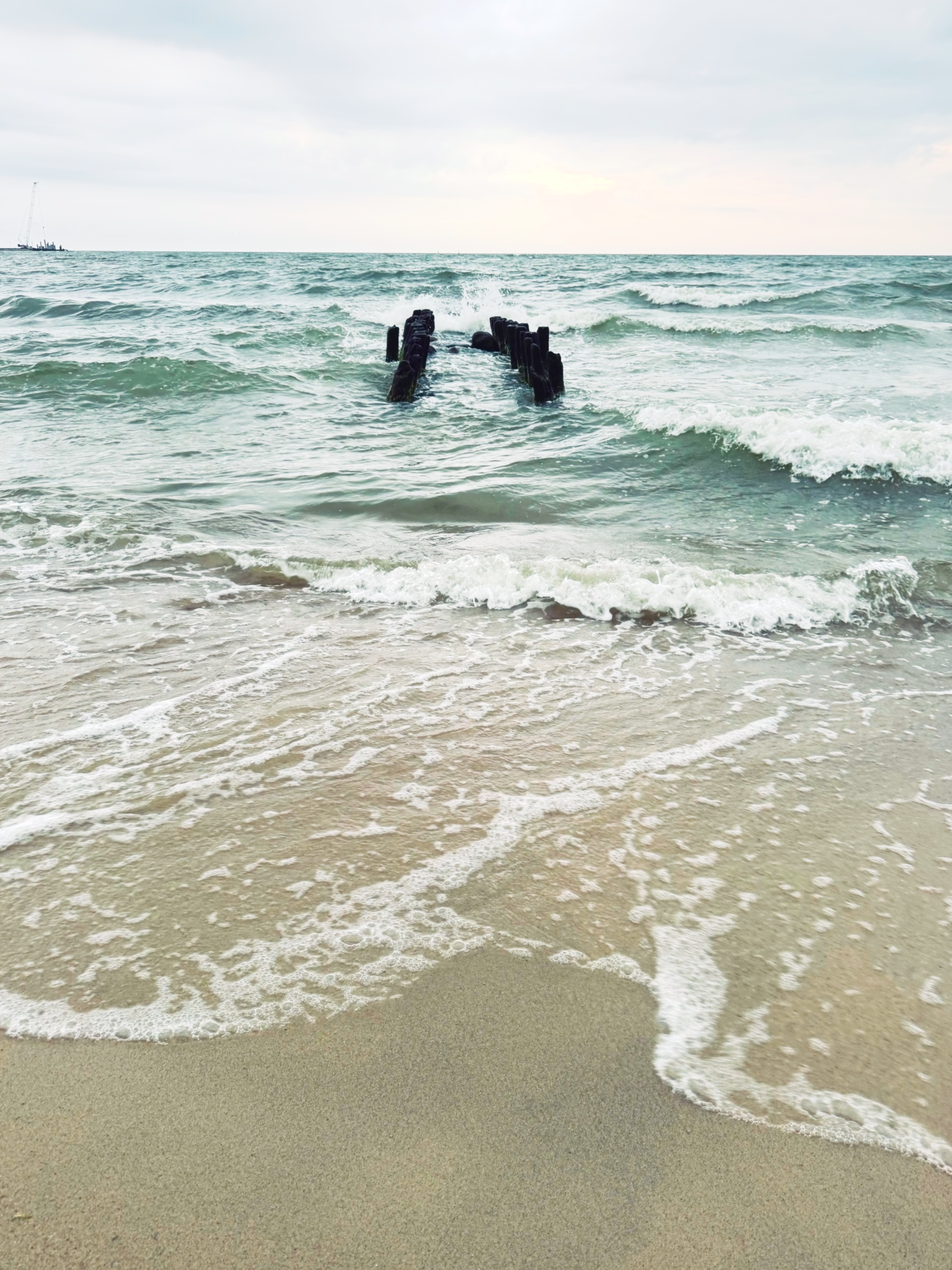 , Аседач Александр