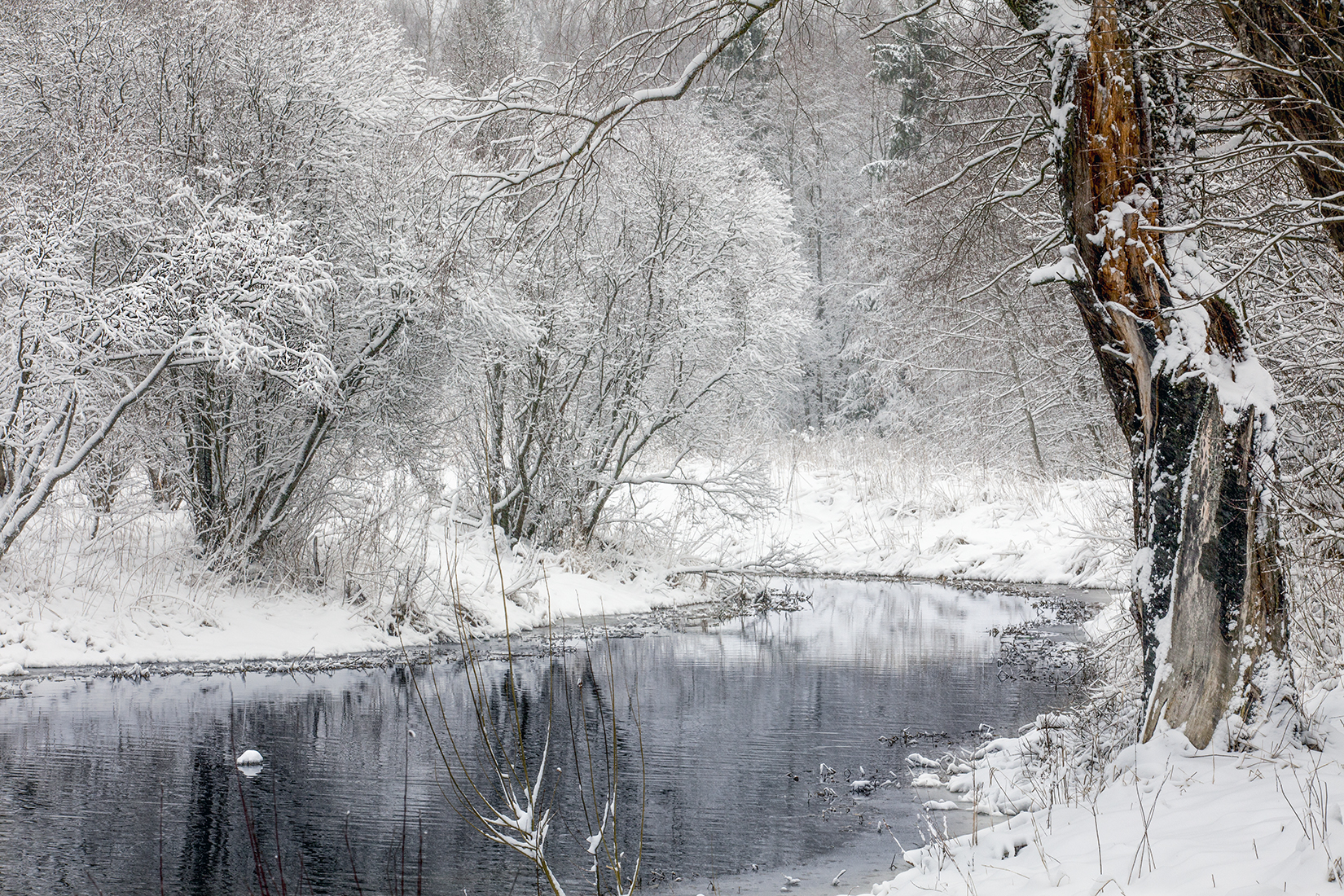 ,  александр михайлов