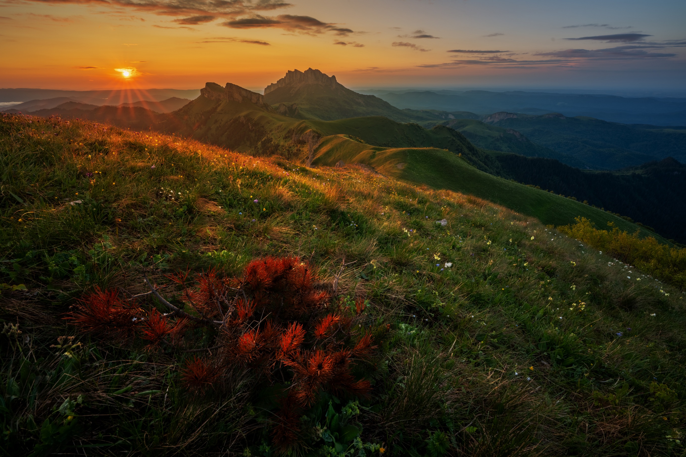 , Ширгин Сергей