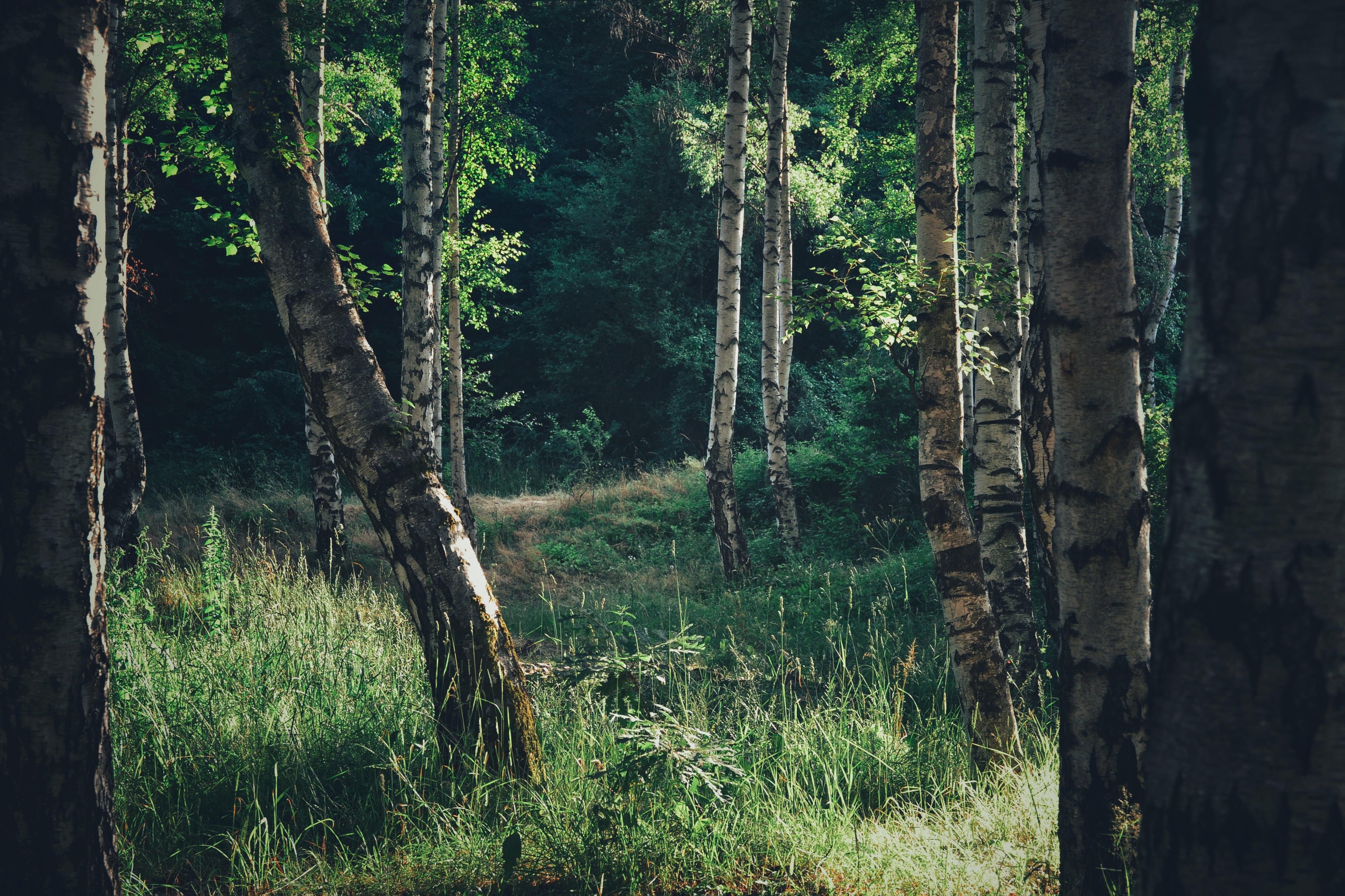 , Юлияна Стоянова