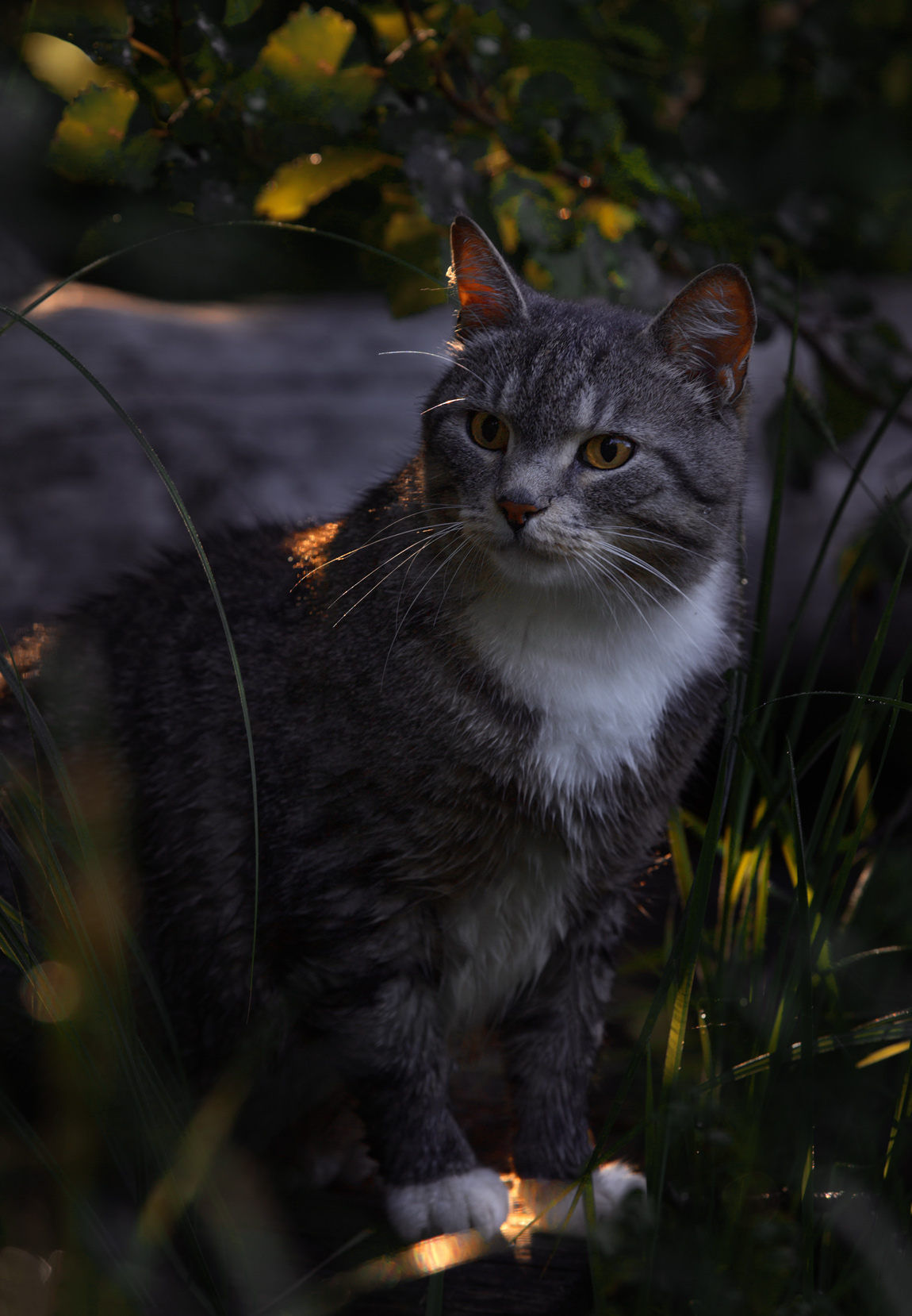 , Баранов Олег