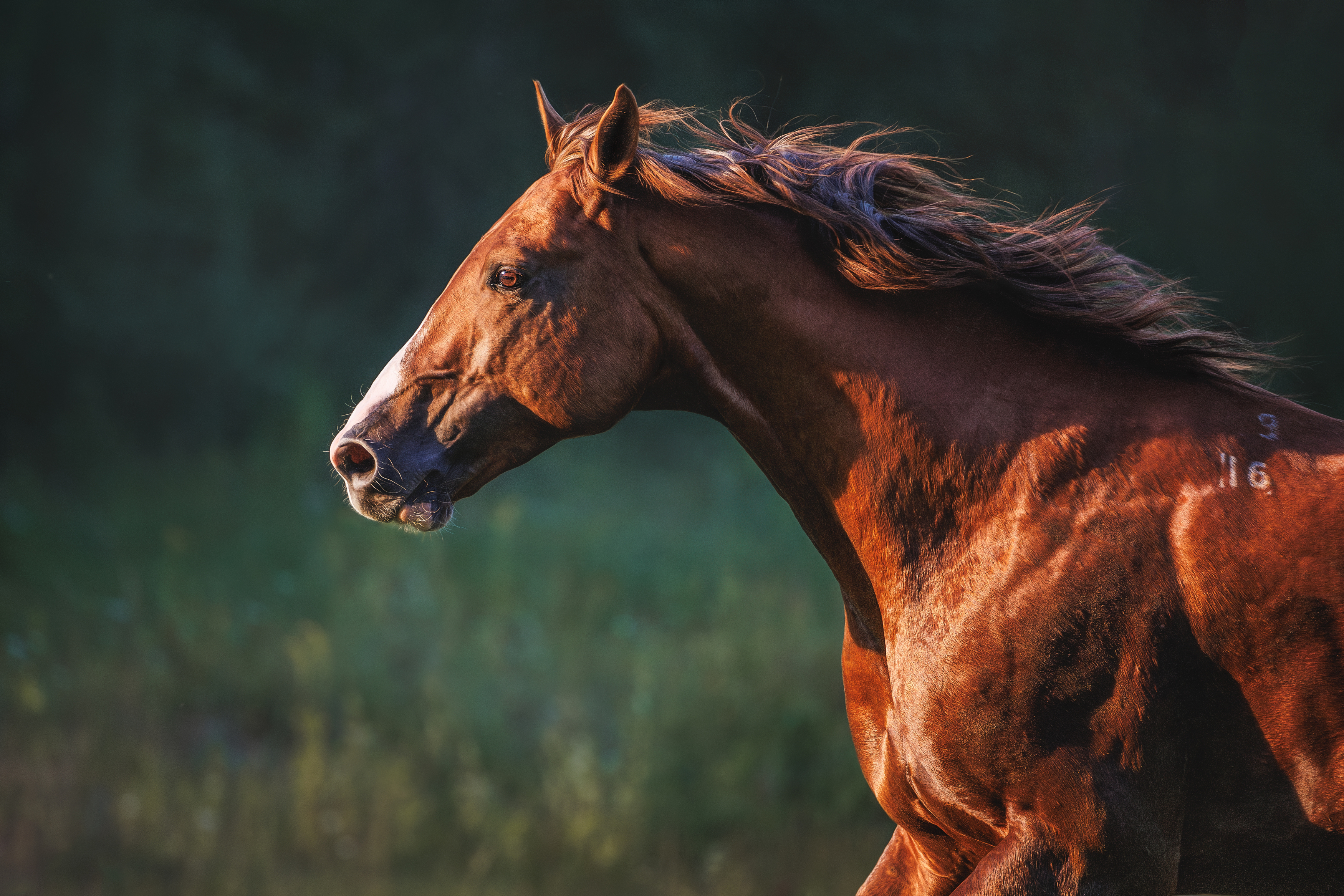 , Яна Нарбутович