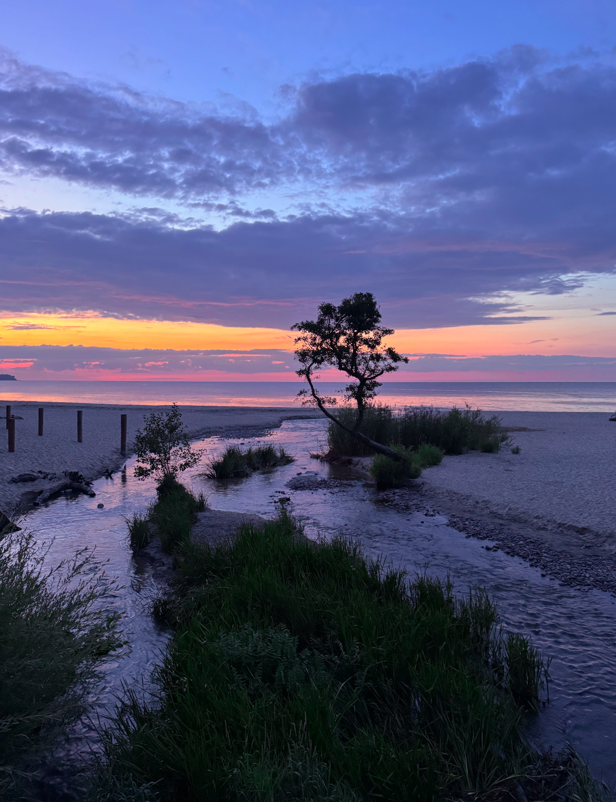 , Аседач Александр