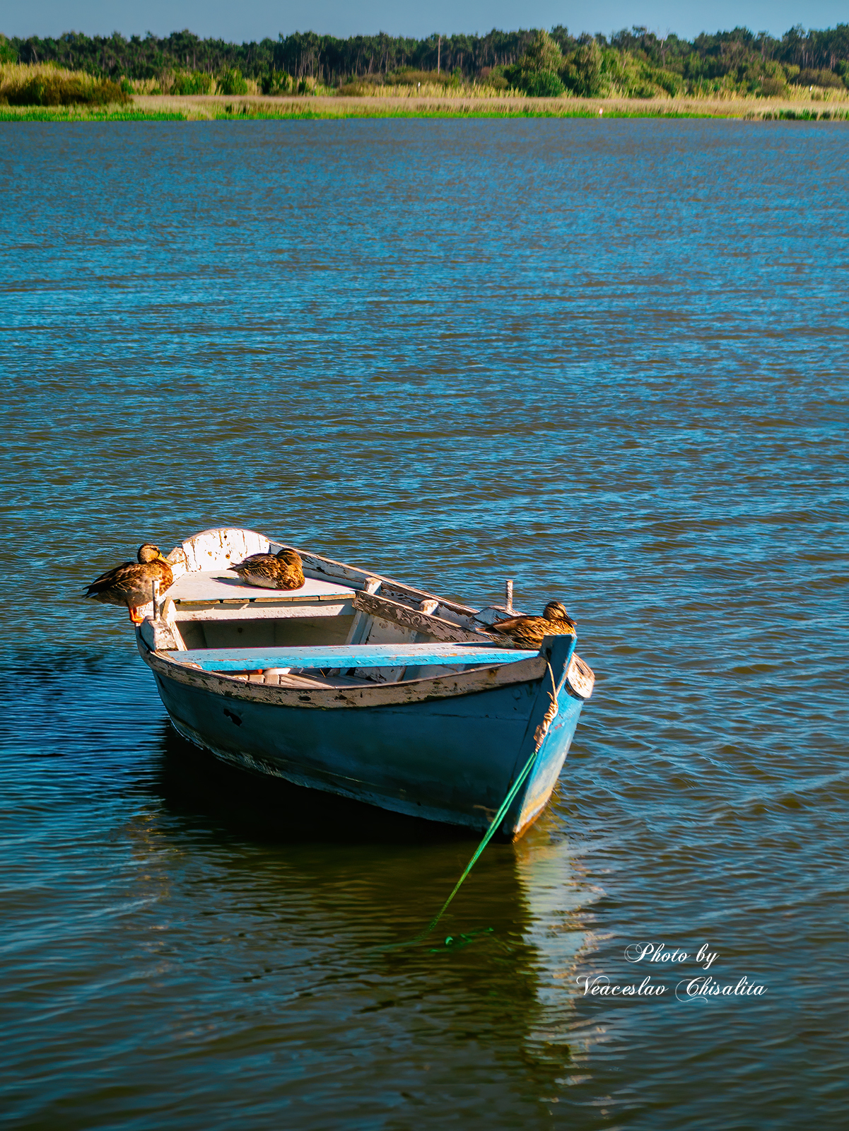 #волшебствозаката #огнизаката #пейзаж #sunset #sunsetlover #sunsetmagic #sunsetlights #landscape, Veaceslav Chisalita