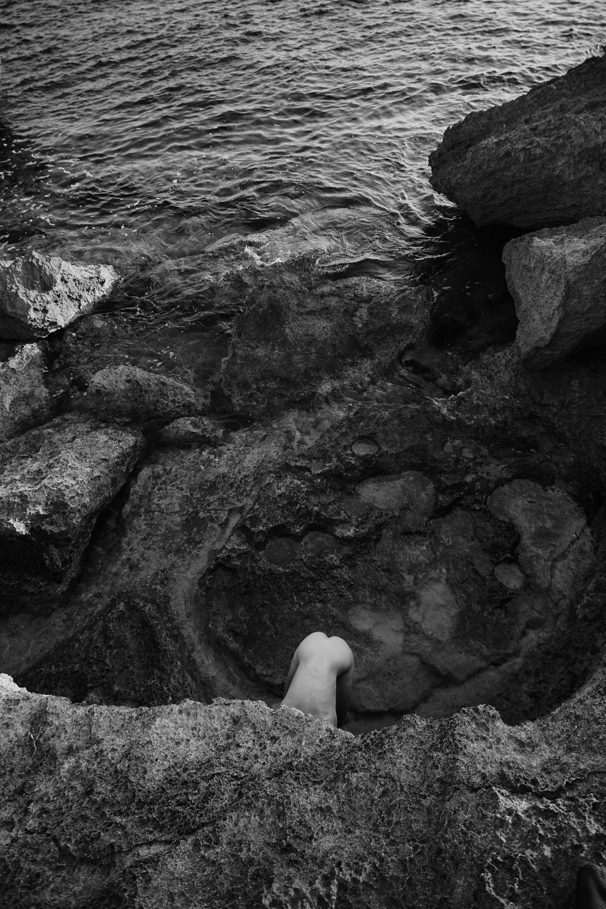 Free society , Maksims Novikovs