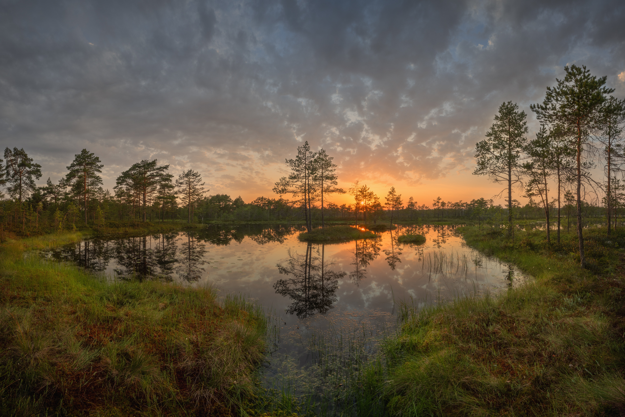 болото, ленинградская область, Михаил Широбоков