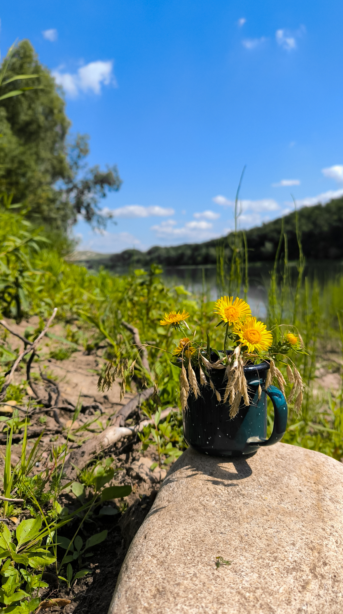 натюрморт, Лариса Белякова
