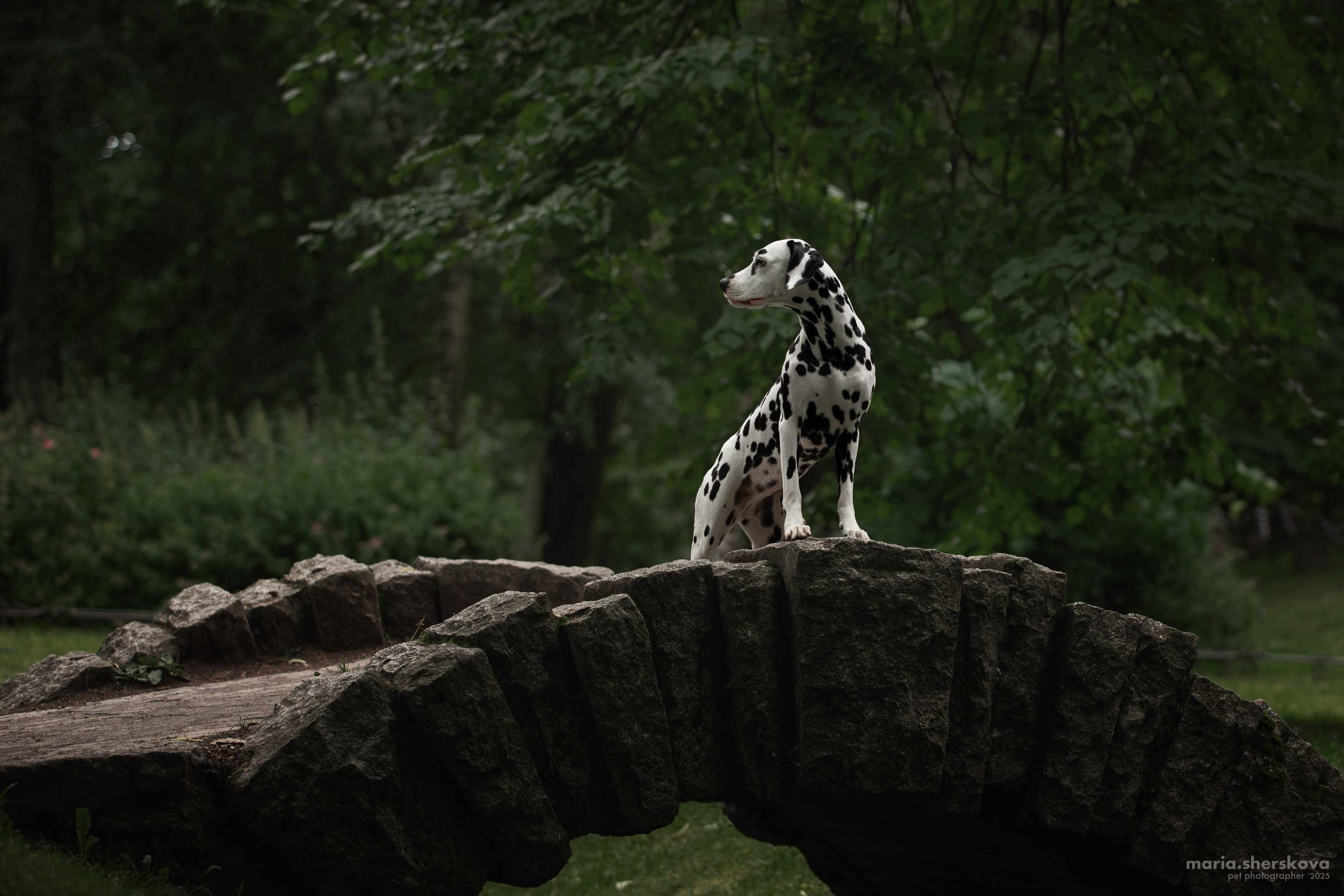 , Мария Шерскова