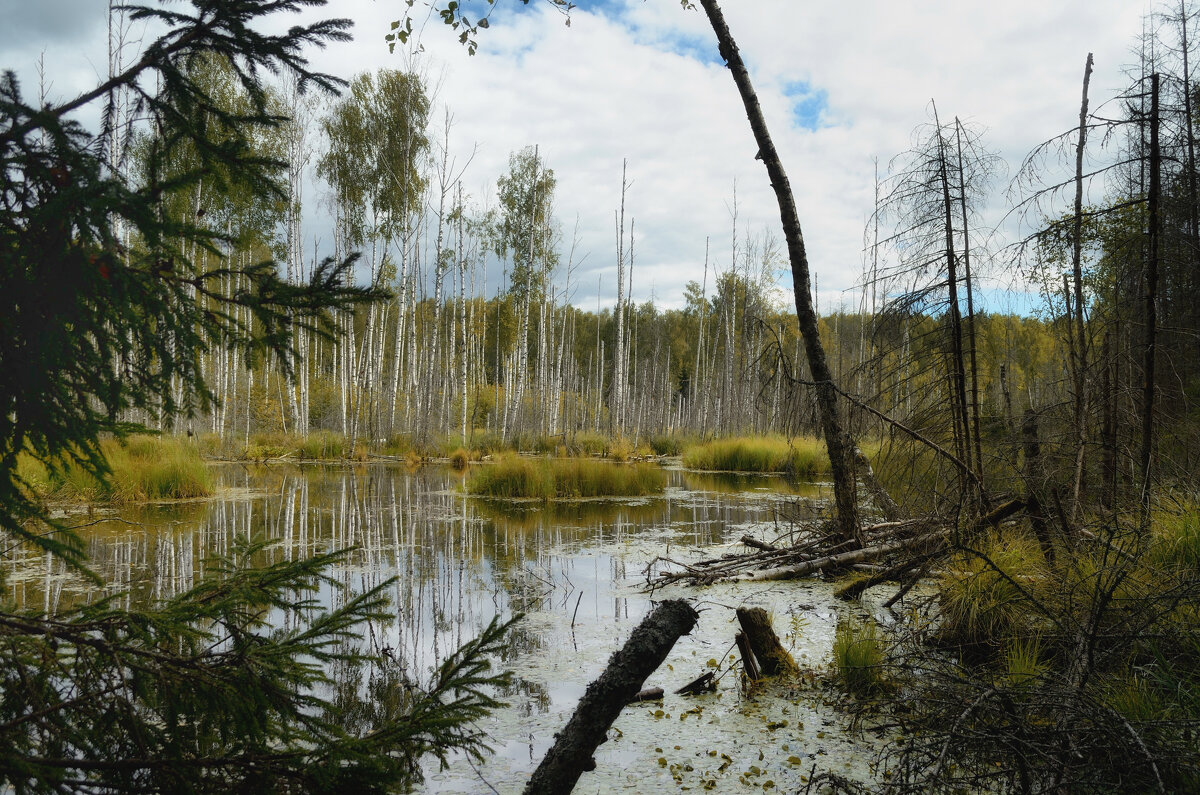 , Сергей Клапишевский