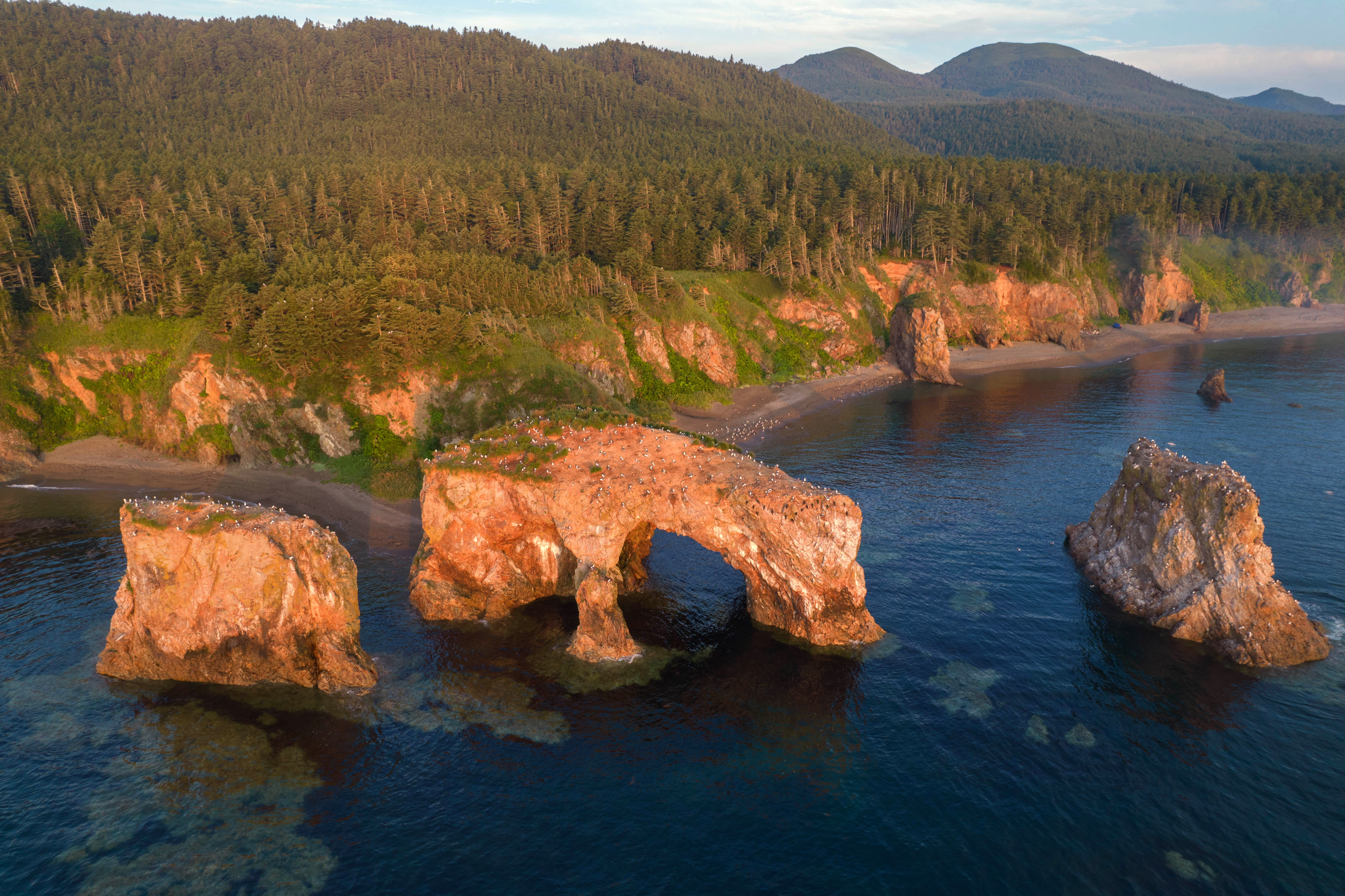 , Артем Удодов