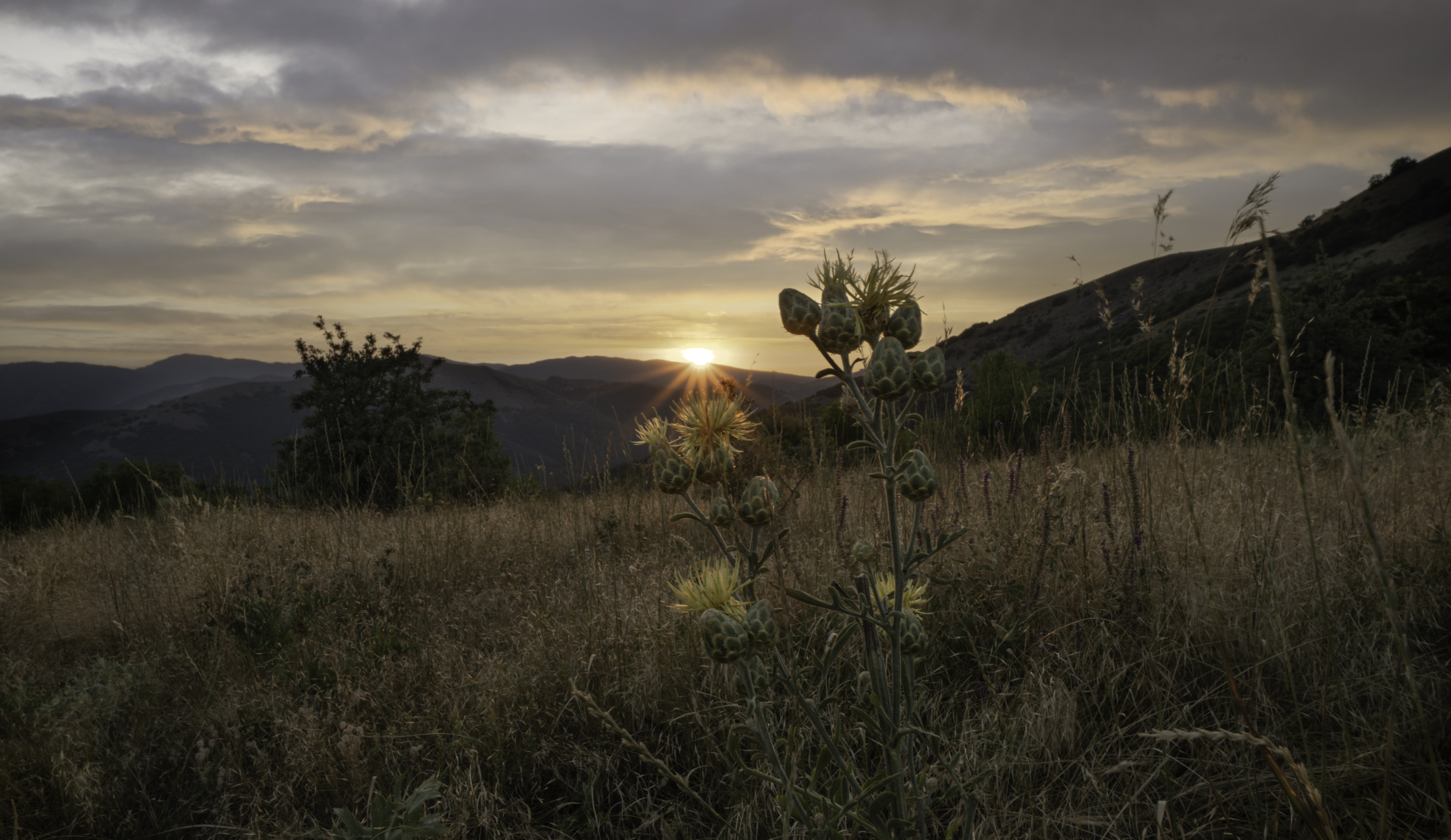 Россия, Крым, Судак, Междуречье, хребет Орта-Сырт, закат, Гаврилов Юрий