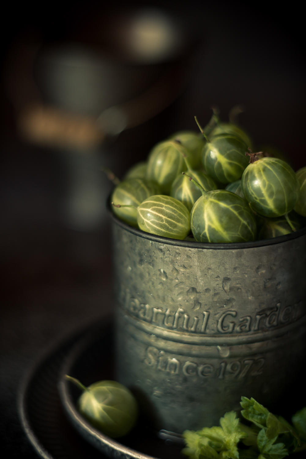 природа, лето, солнце, крыжовник, натюрморт, Александр Азаренков