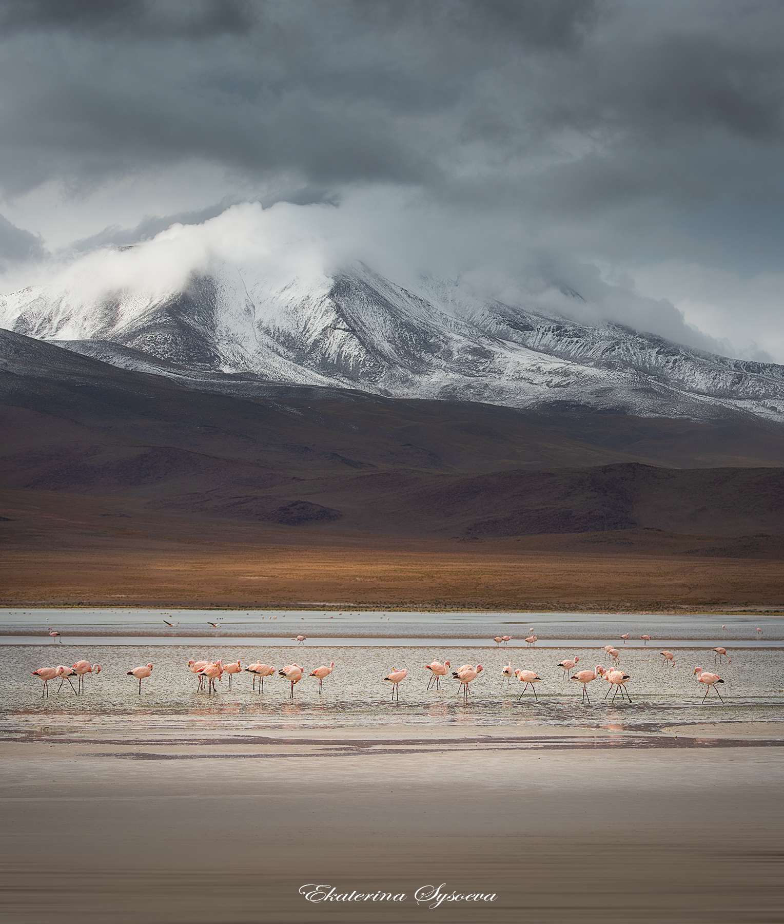 , Екатерина Сысоева