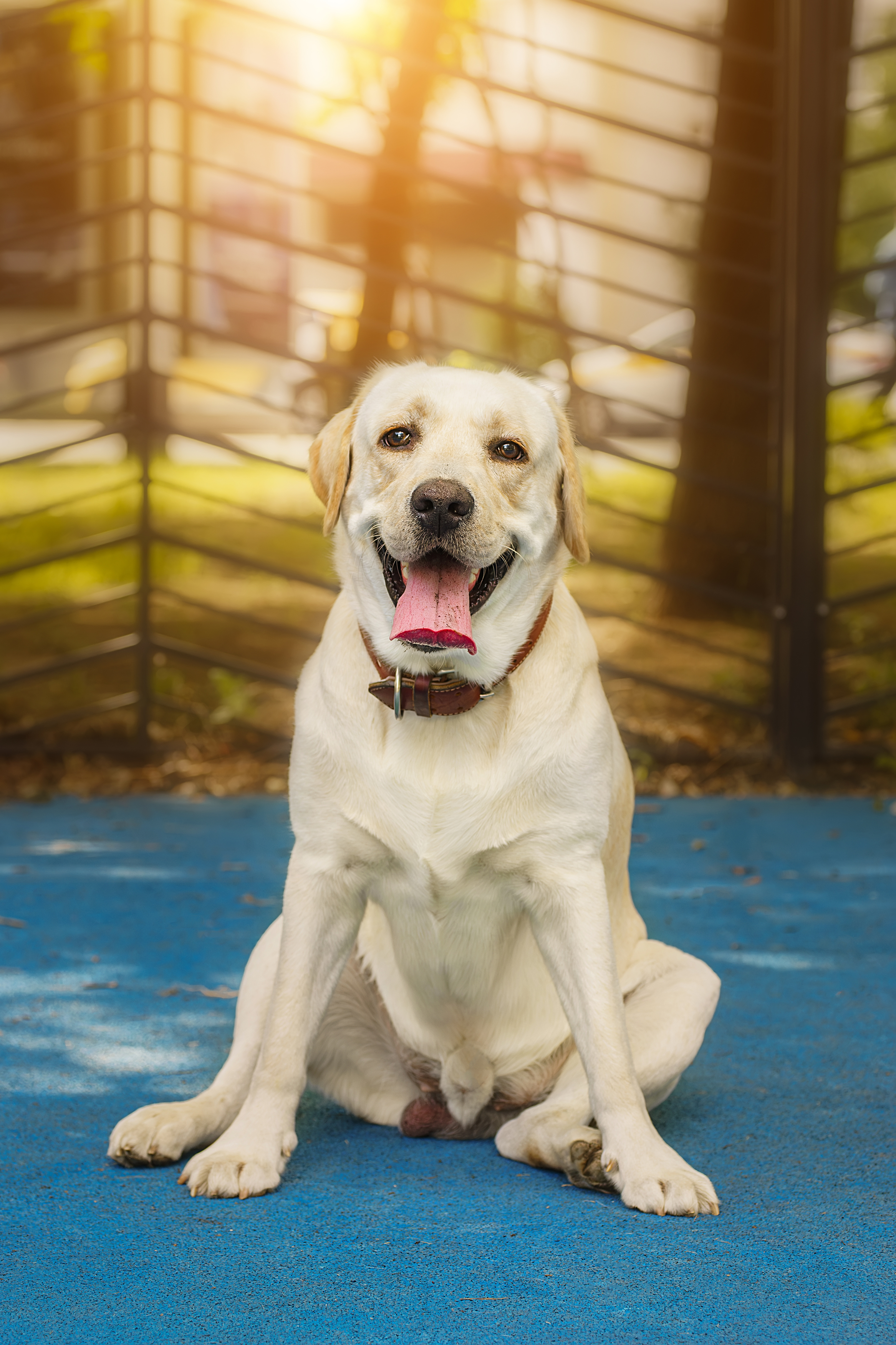 , Корнеев Алексей