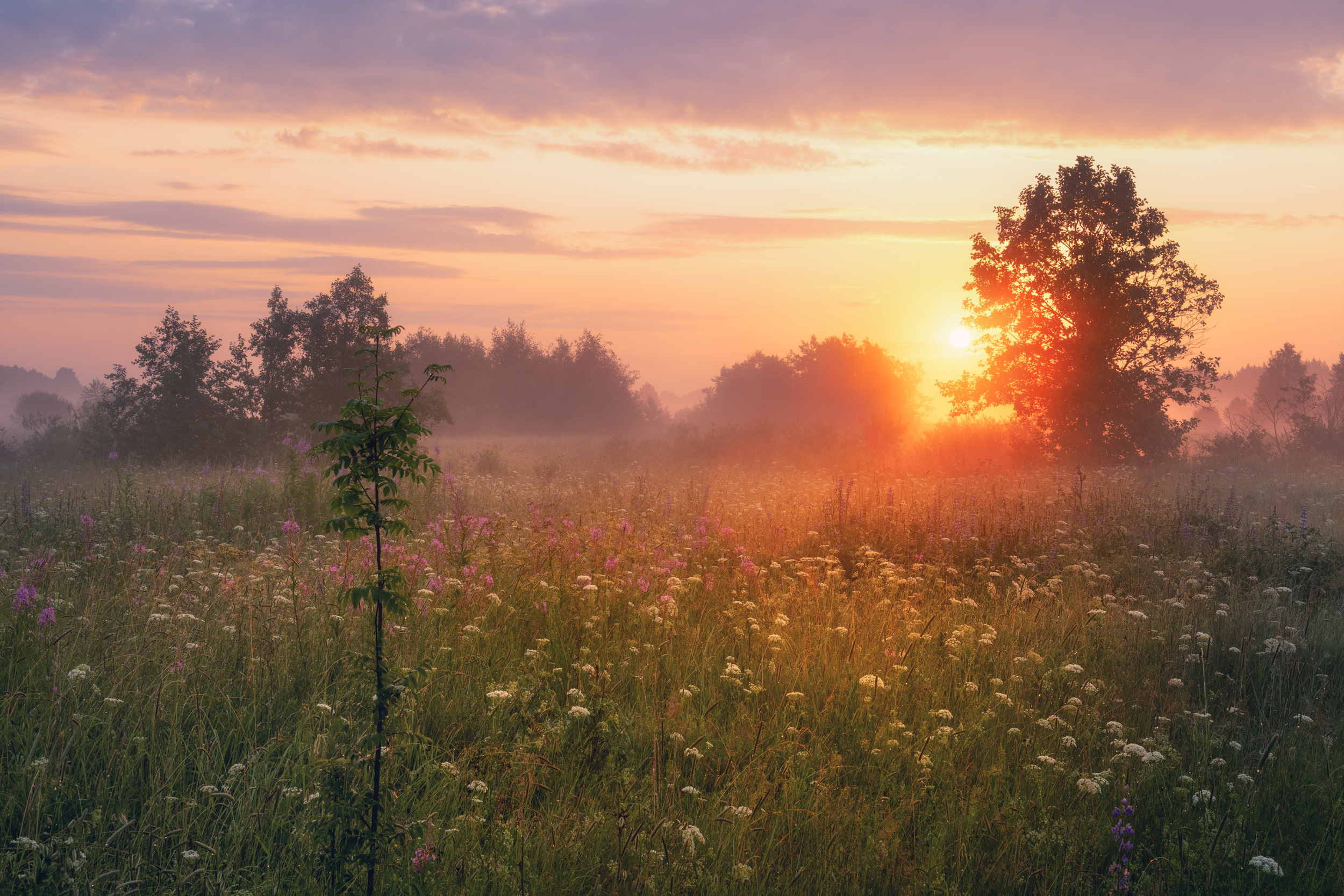 , Аброскин Игорь