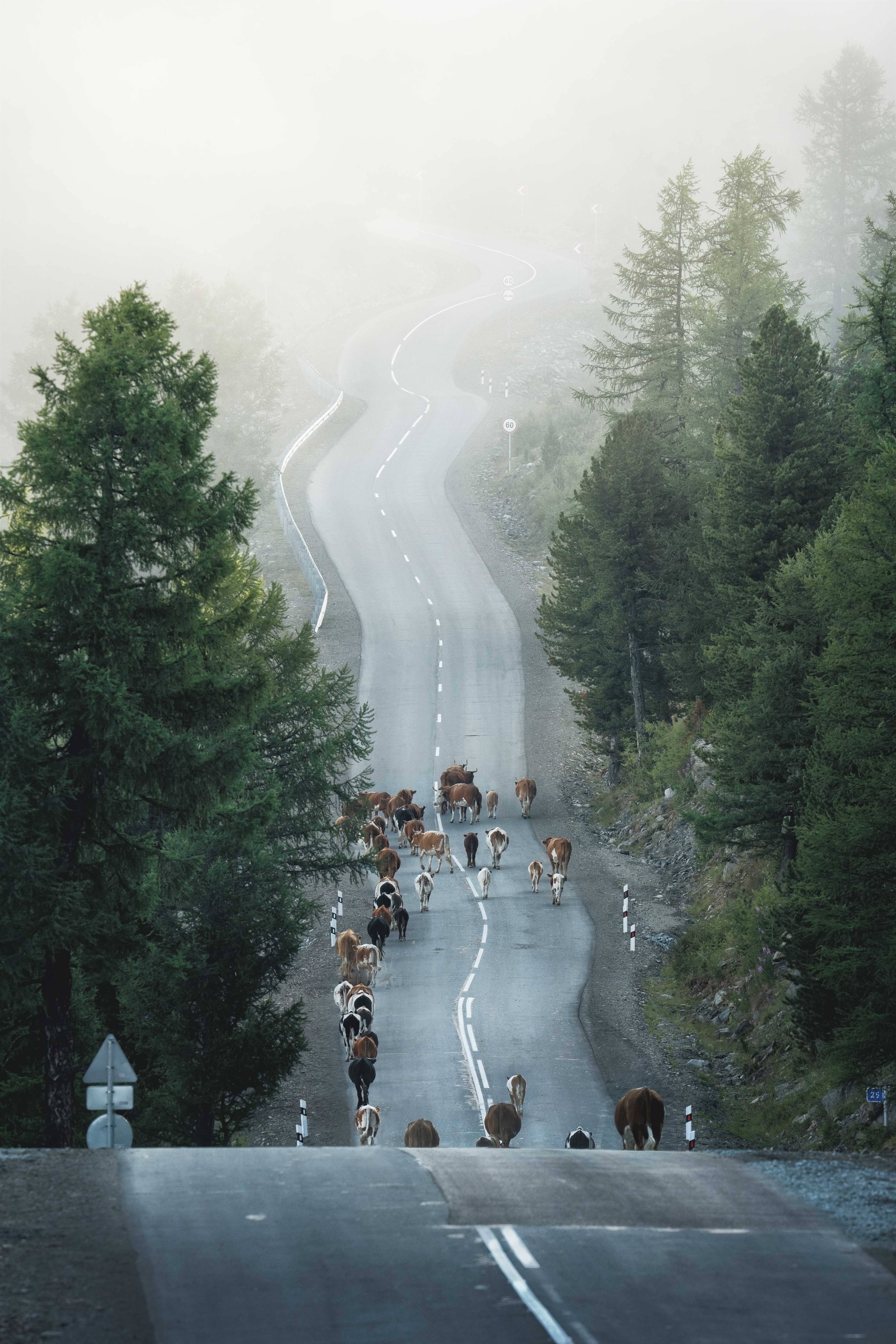 , Евгений Важенин