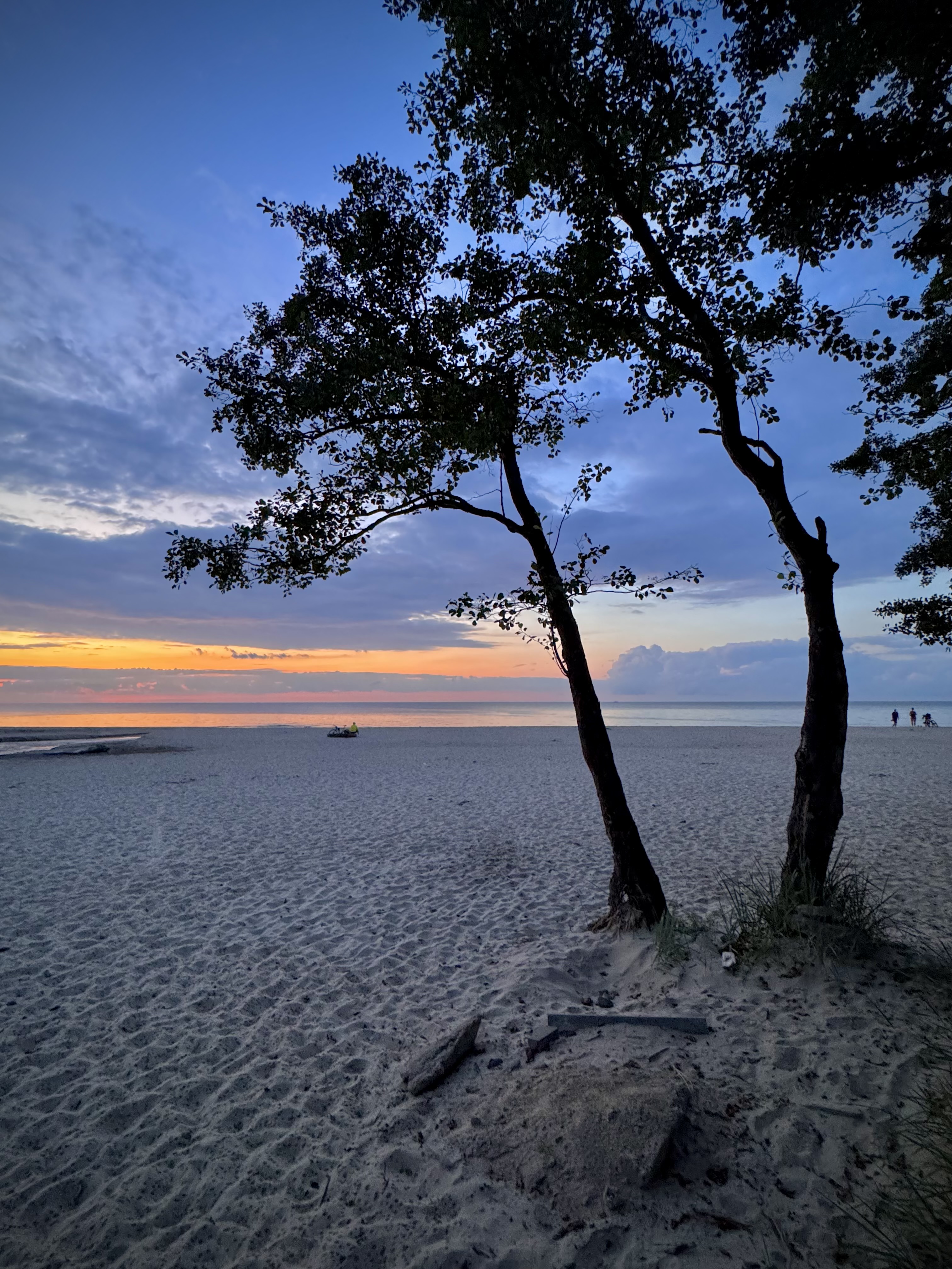 , Аседач Александр