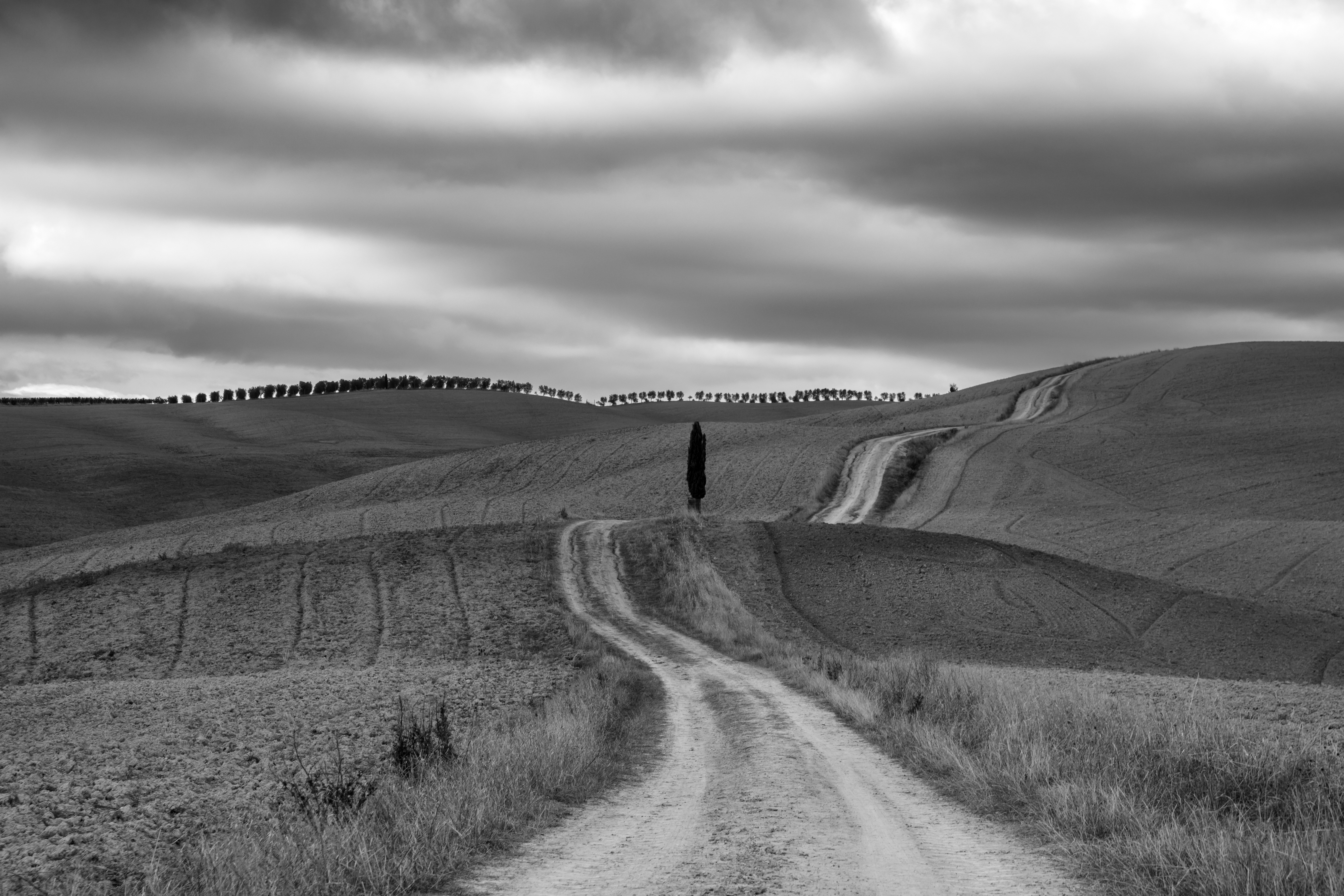 , Евгения Чех