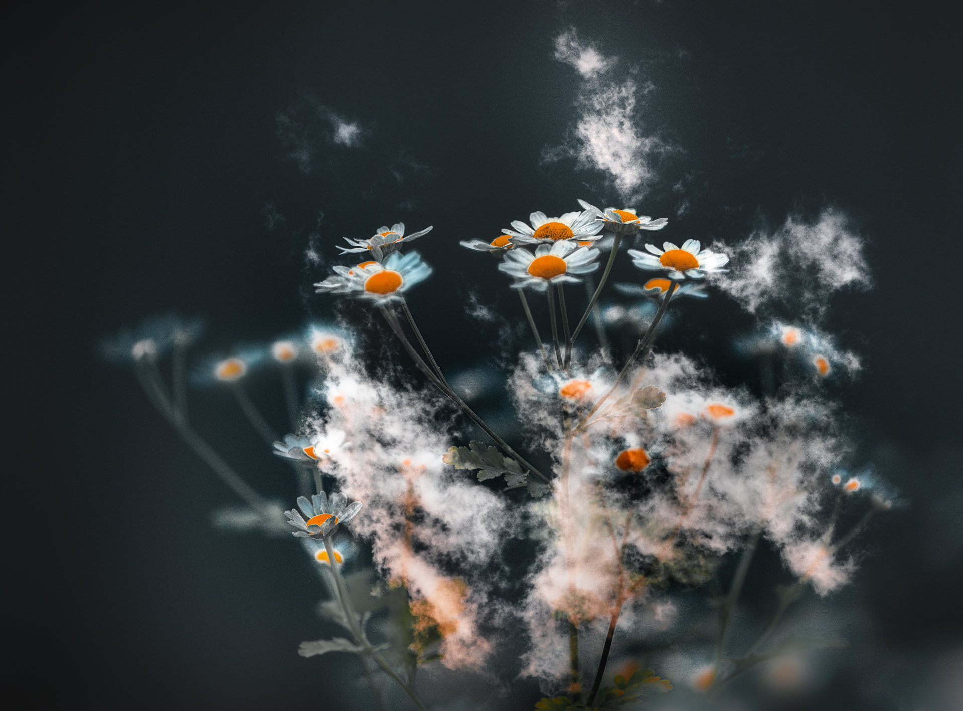 мультиэкспозиция, Неля Рачкова