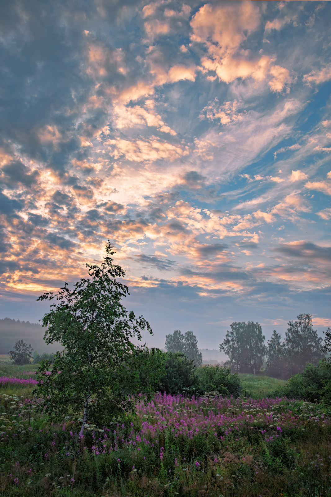 , Евгений Ерохин