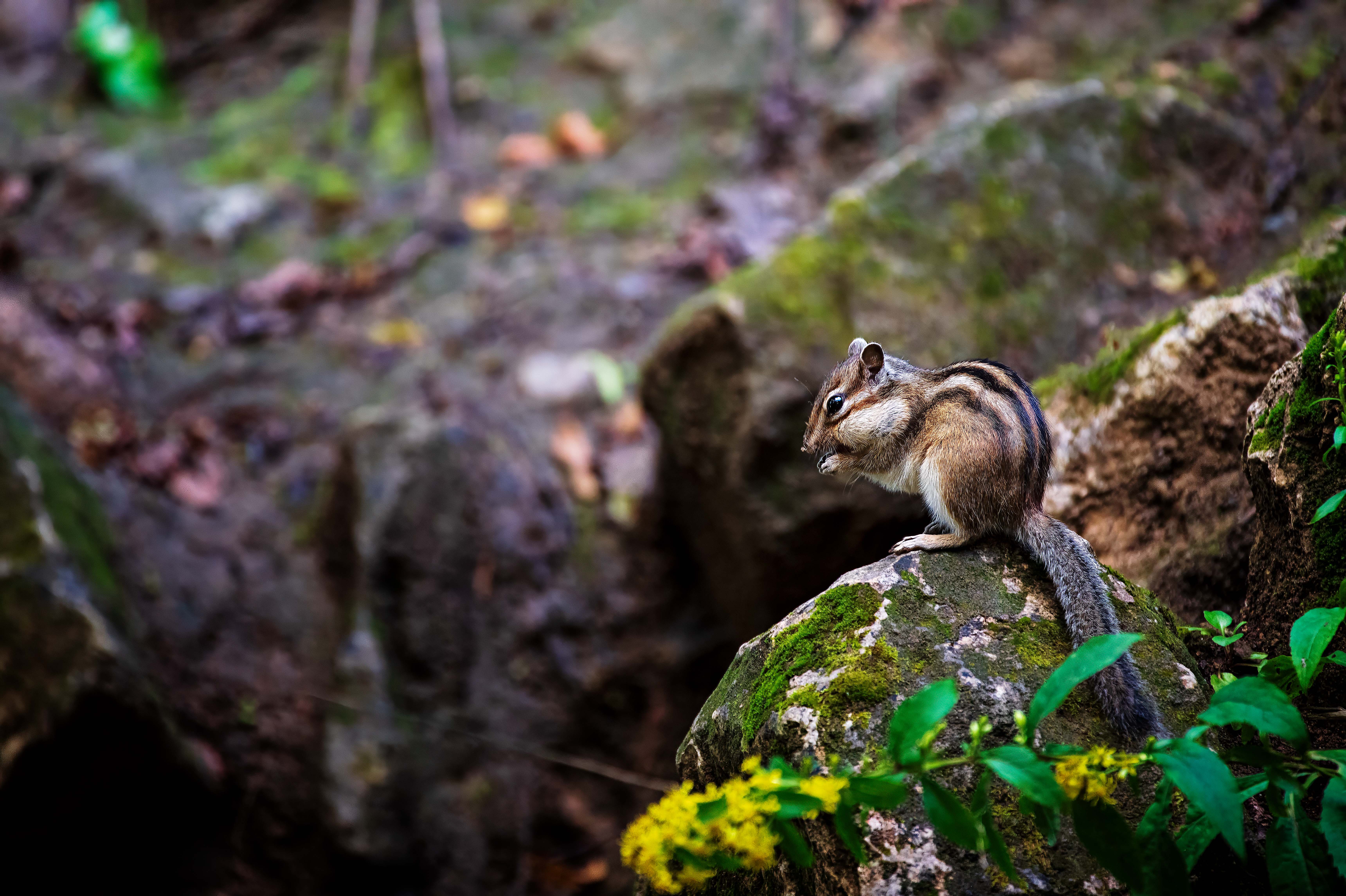 , Павел Ныриков