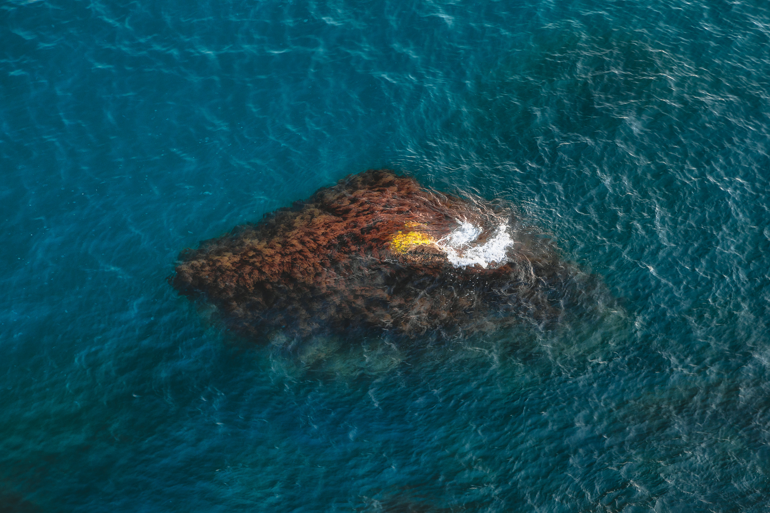 пейзаж, море, природа, дикая природа, nature, wildlife, canon, Пронин Денис