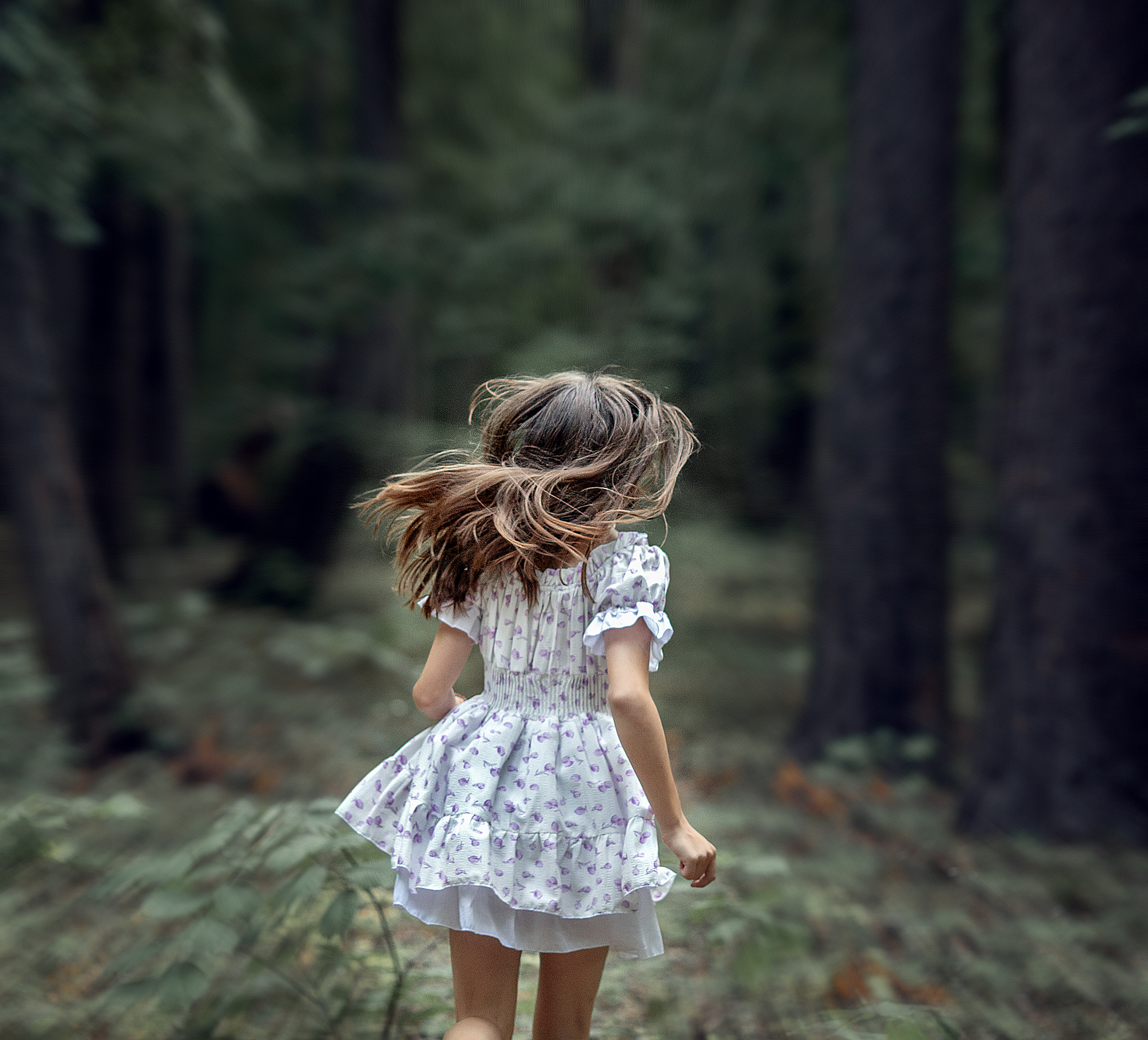 , Солнечный Александр