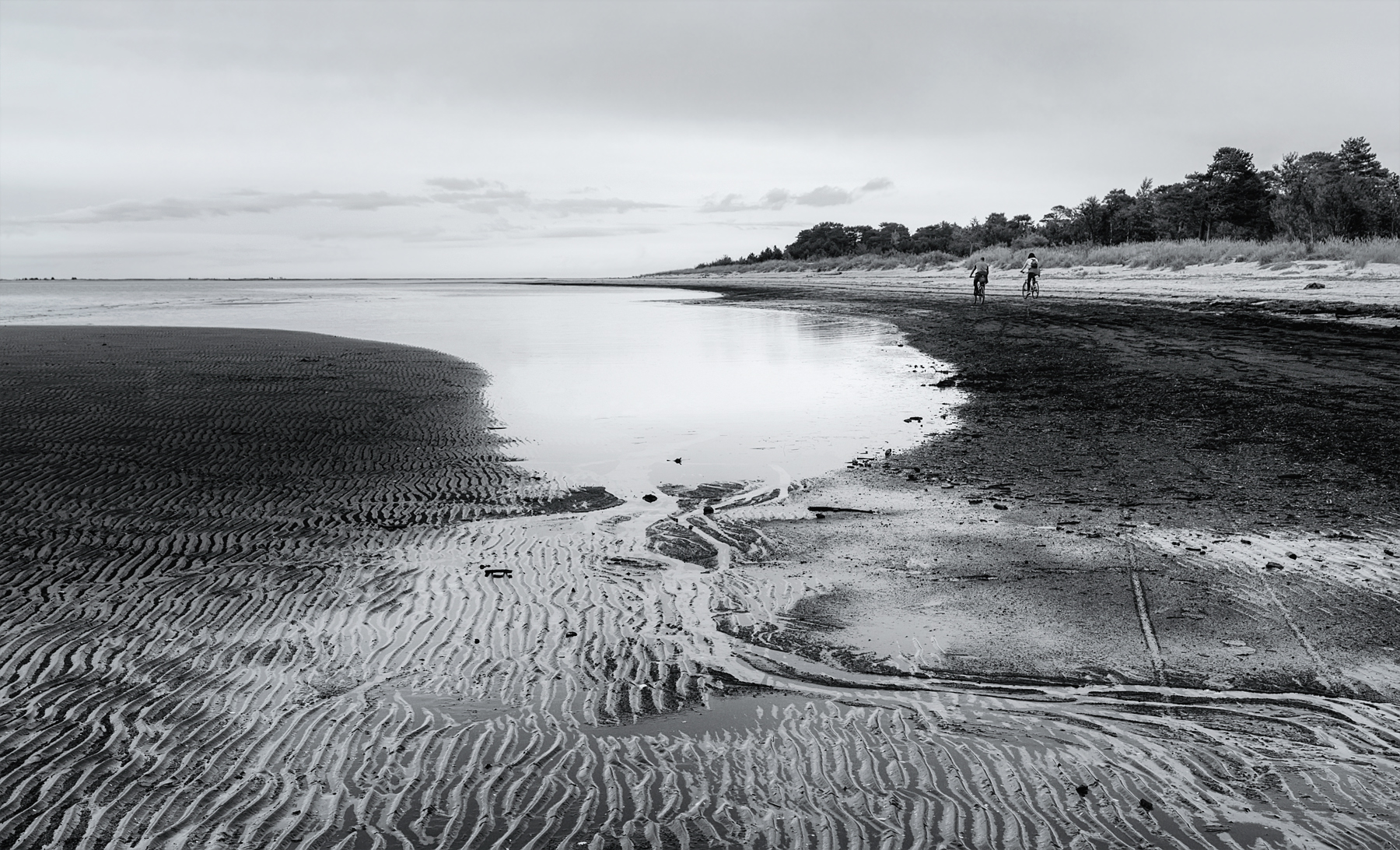 белое море, залив, вода, отлив, берег, следы, прогулка, велосипедисты, деревья, черно-белое, Вера Ра
