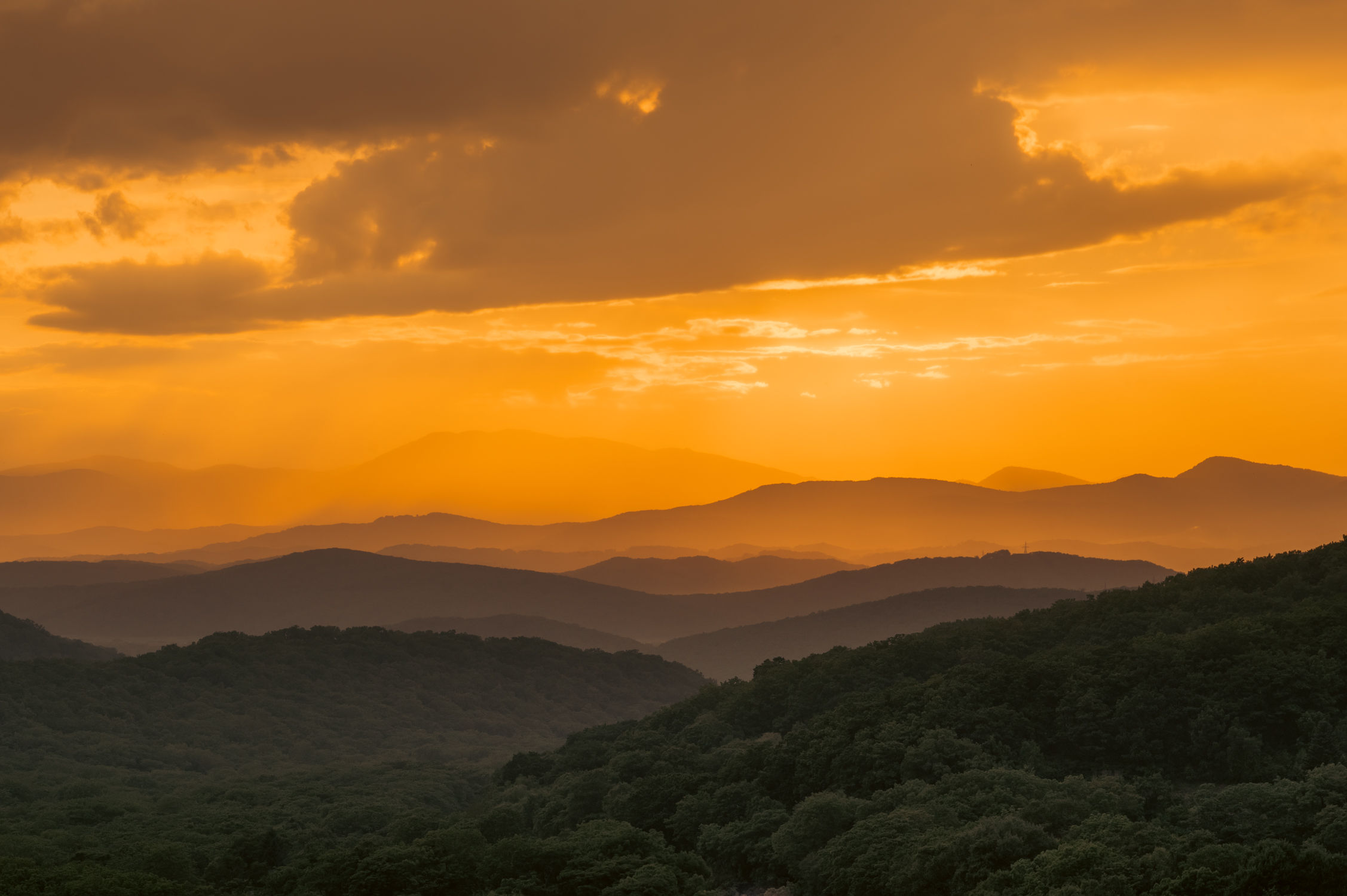 , Бирюков Данил