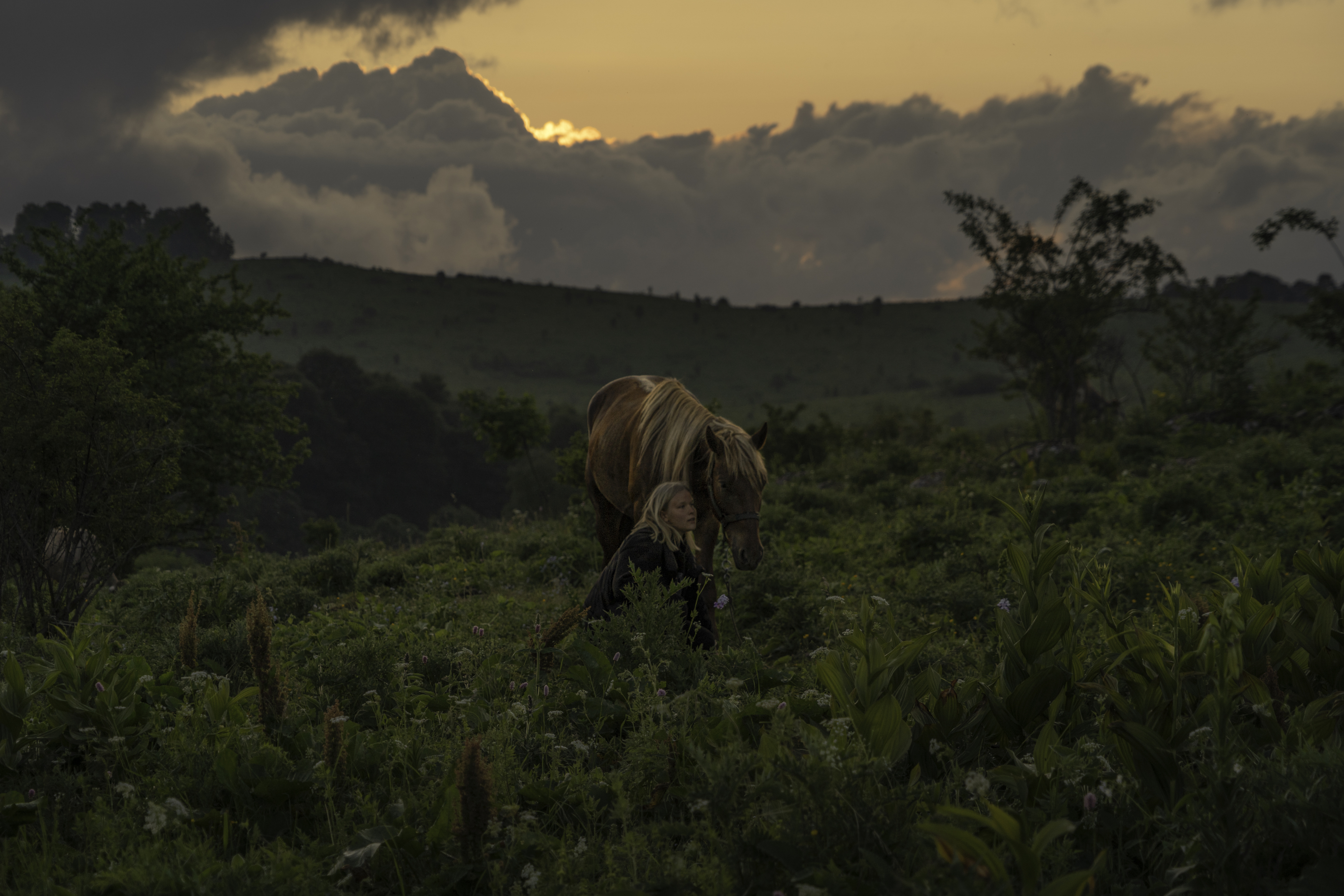 Россия, Краснодарский край, Мостовской район, Бароновы поляны, лошадь, Гаврилов Юрий