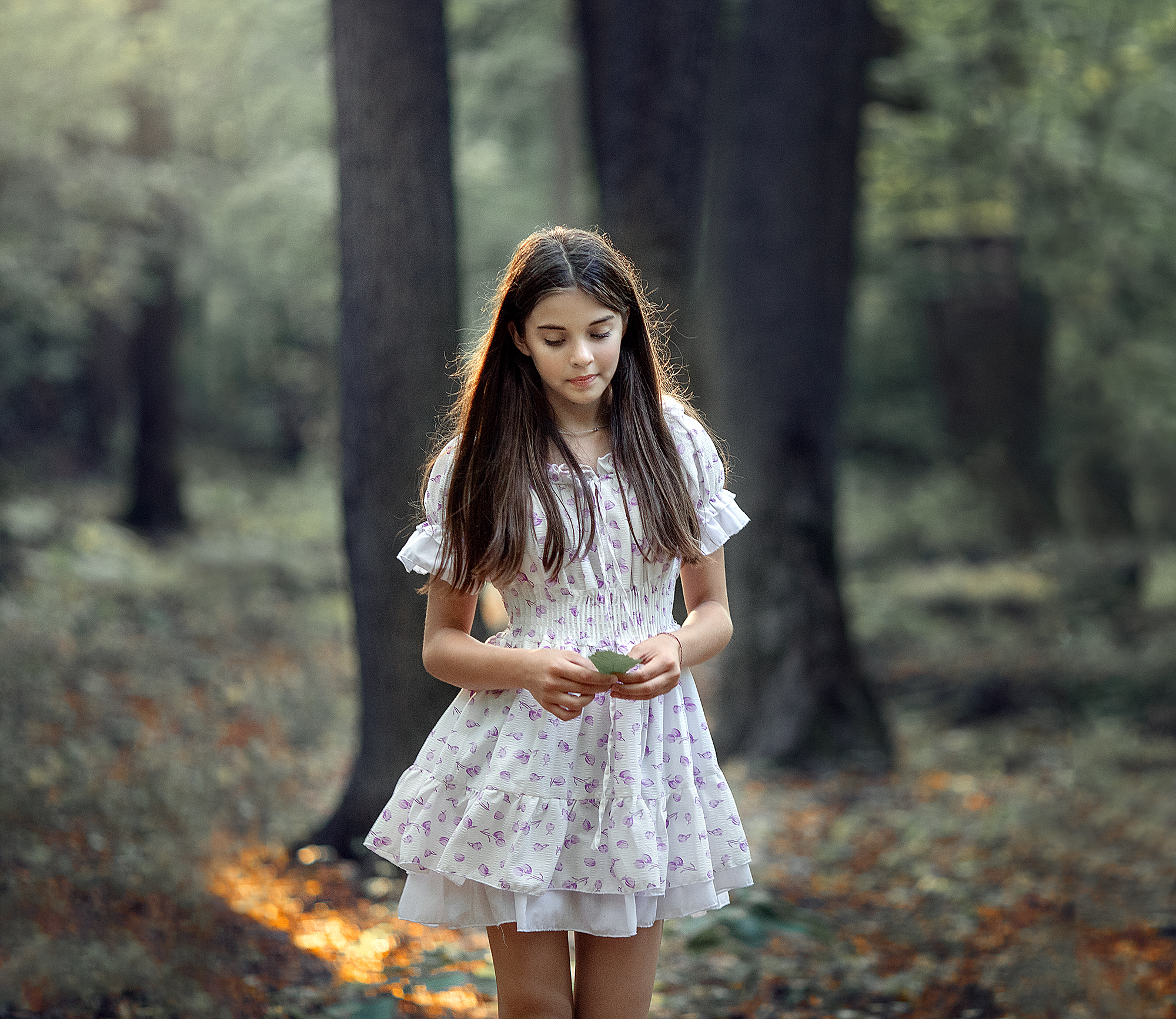 , Солнечный Александр