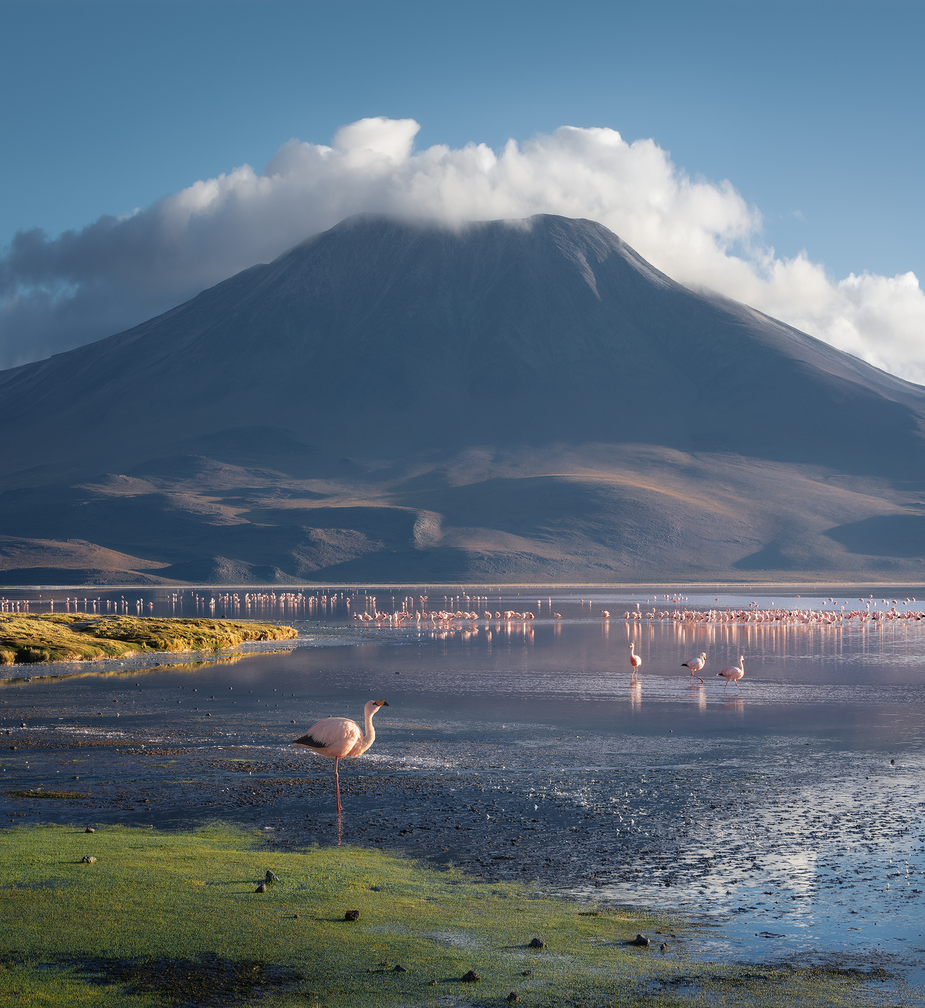 , Екатерина Сысоева